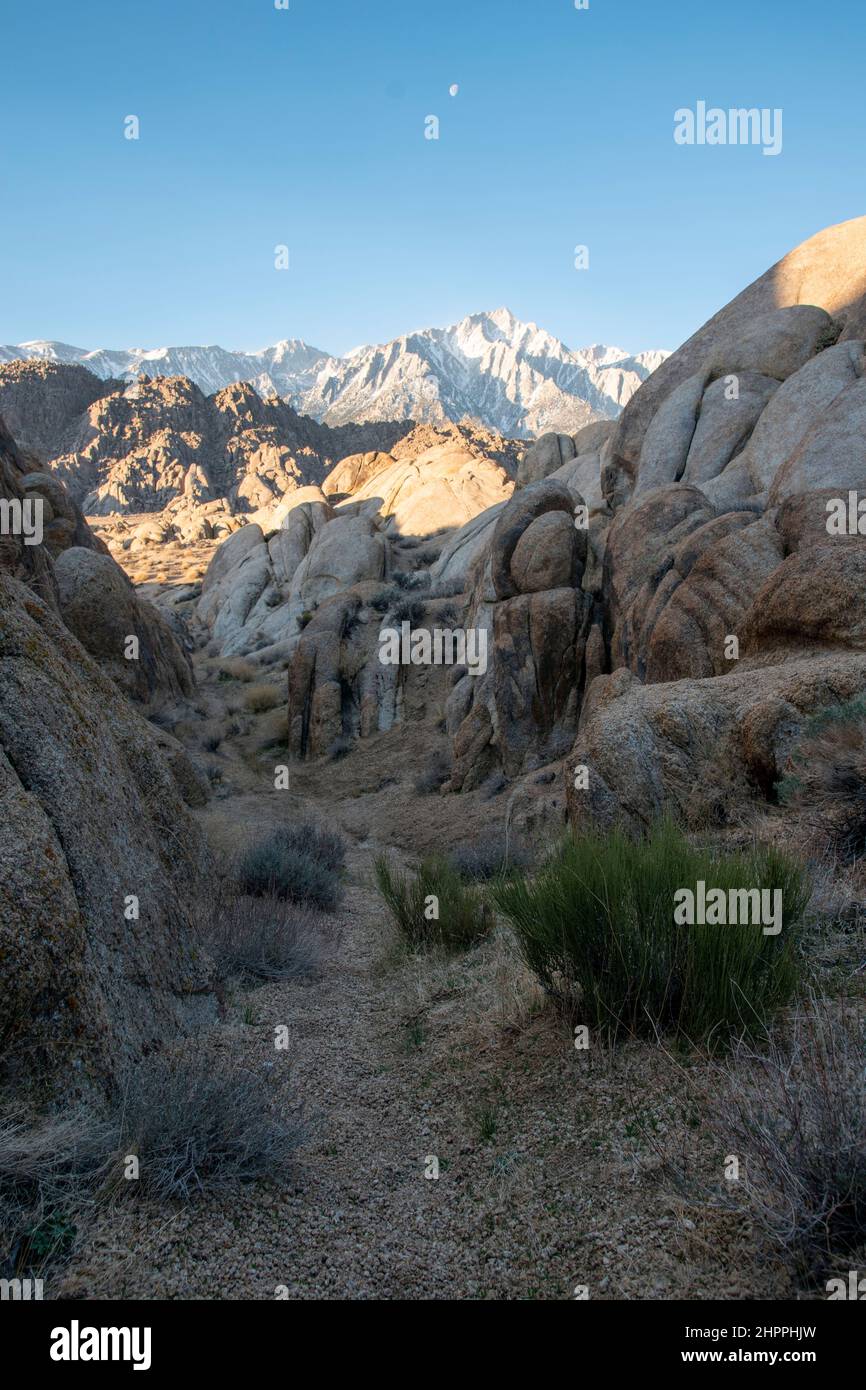 Mt. Whitney, der höchste Berggipfel in den unteren 48 Bundesstaaten, steht während des Sonnenaufgangs über den Alabama Hills im Inyo County, CA, USA. Stockfoto