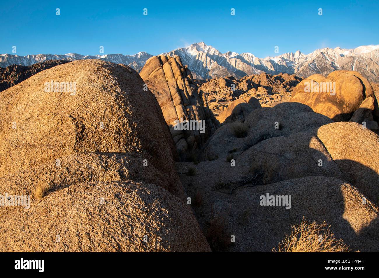 Mt. Whitney, der höchste Berggipfel in den unteren 48 Bundesstaaten, steht während des Sonnenaufgangs über den Alabama Hills im Inyo County, CA, USA. Stockfoto