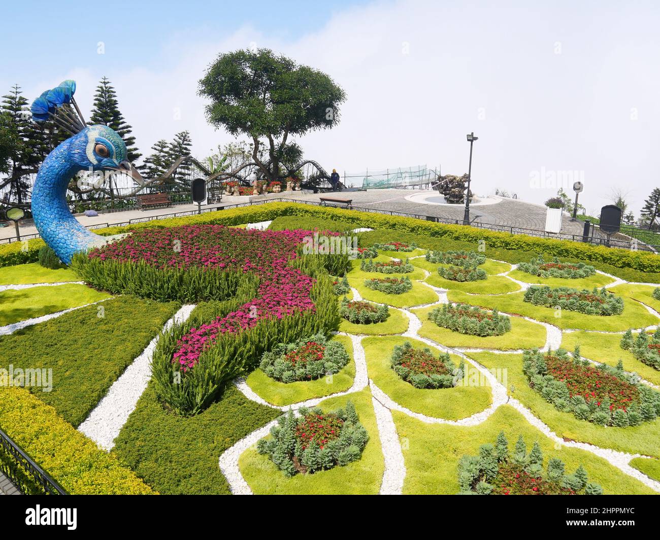 Da Nang, Vietnam - 12. April 2021: Blumen dekoriert als Pfau in Ba Na Hügel, einem berühmten Themenpark und Resort in Zentralvietnam Stockfoto