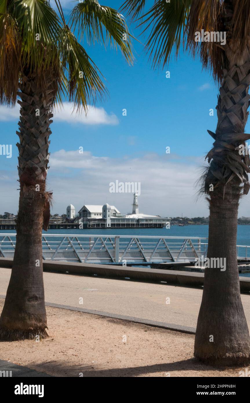 Cunningham Pier durch die Palmen am Western Beach, Geelong, Victoria, Australien Stockfoto