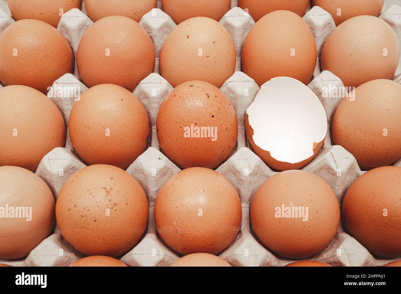 Eiern isoliert auf weißem Hintergrund Stockfoto