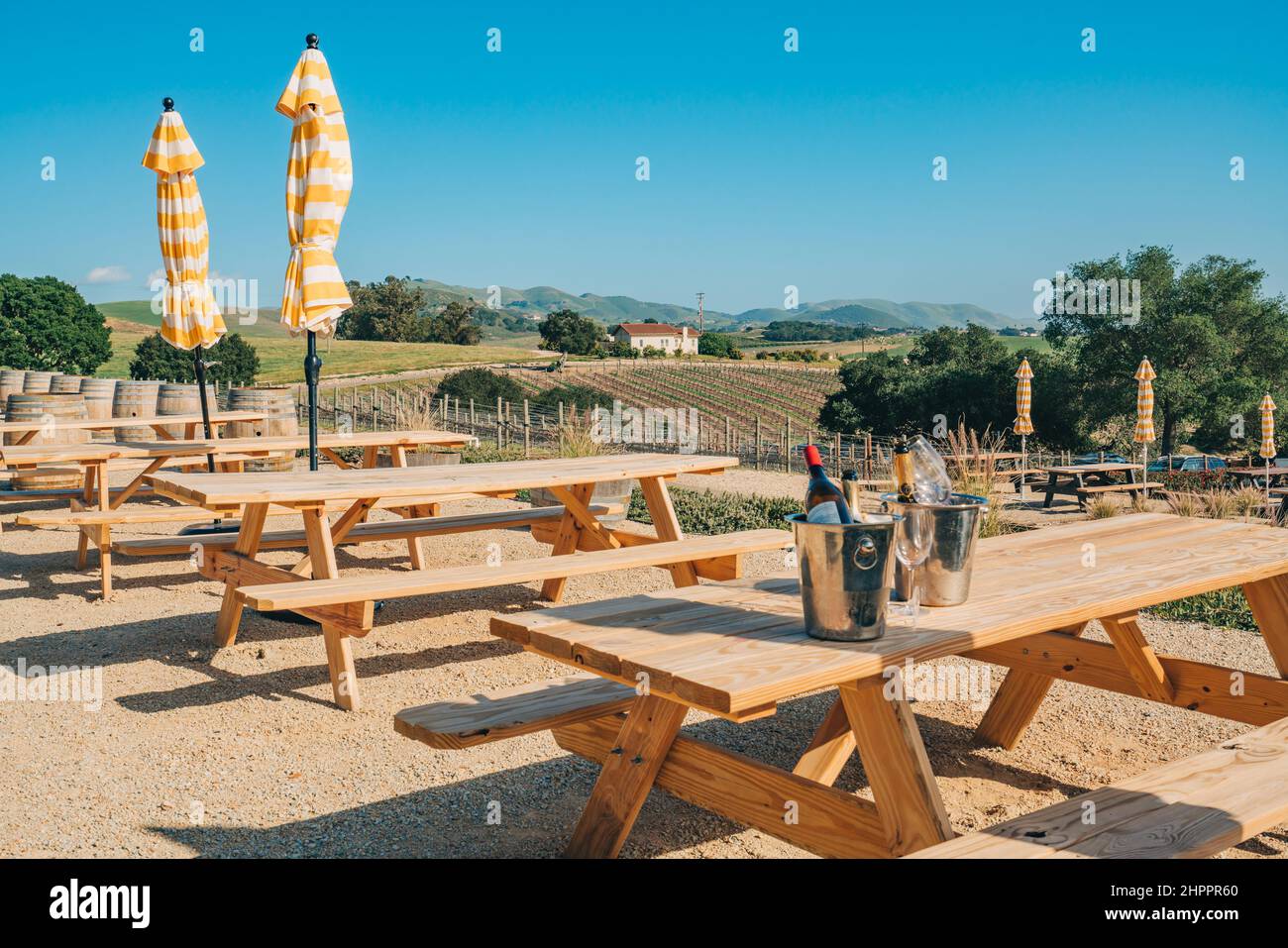 Weinprobe. Weingut und Weingut in San Luis Obispo County, California Central Coast Stockfoto