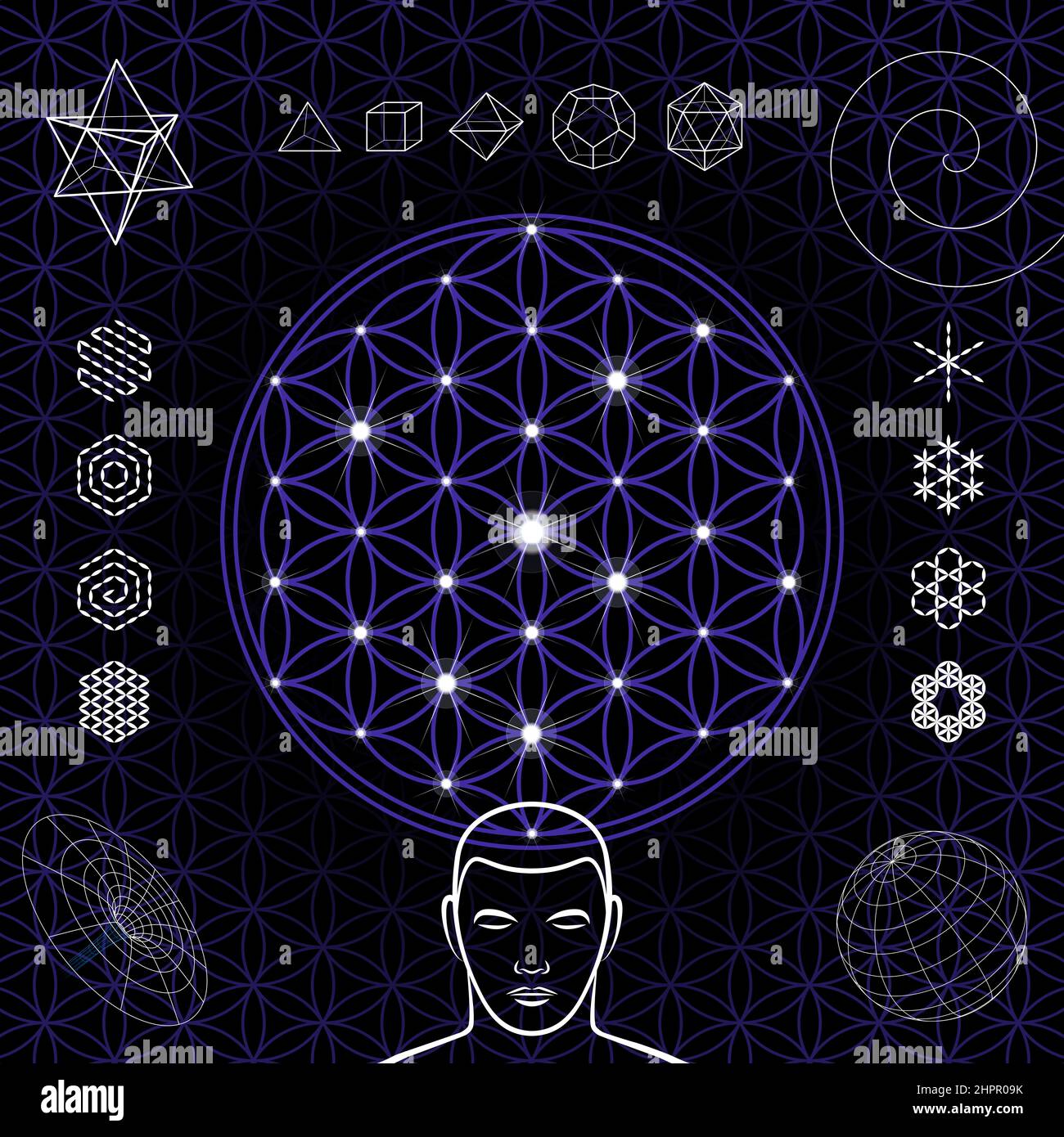 Blume des Lebens, mit Sternen und Symbolen. Überlappende Kreise bilden ein blumenähnliches Muster. Geometrische Figuren und mystische Muster. Stockfoto