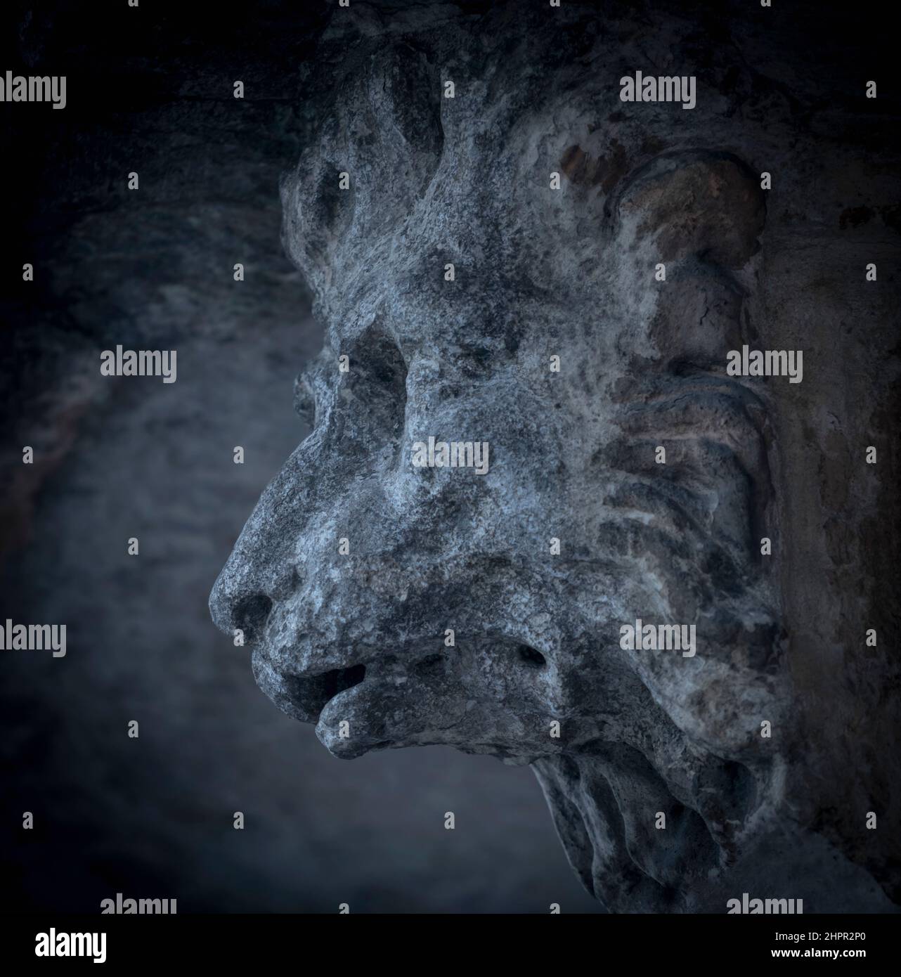 Fragment einer alten Steinstatue des Kopfes von Lycan Werewolf. Stockfoto