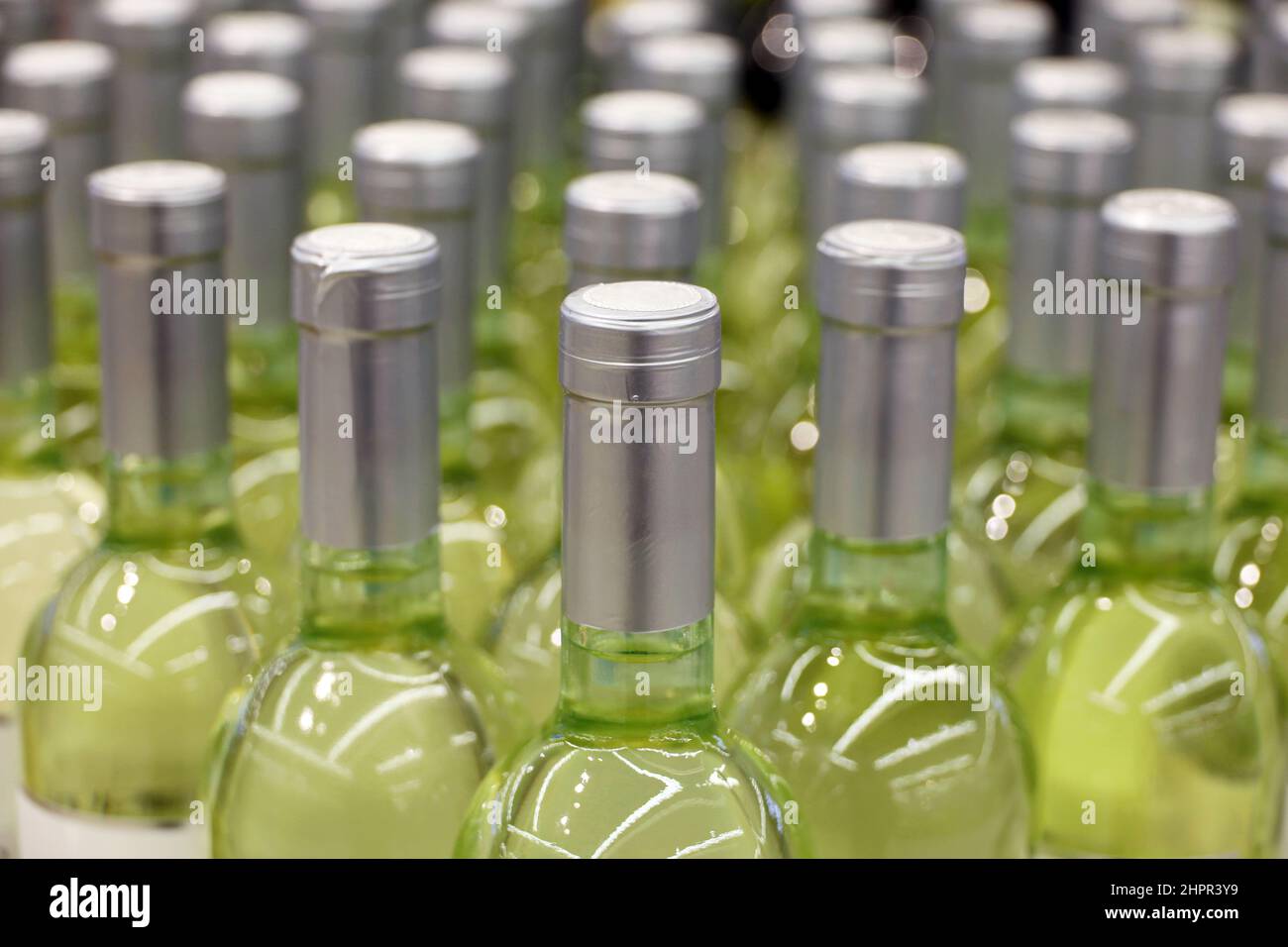 Flaschen Weißwein in einer Reihe, selektiver Fokus. Spirituosengeschäft, Weinproduktion Stockfoto