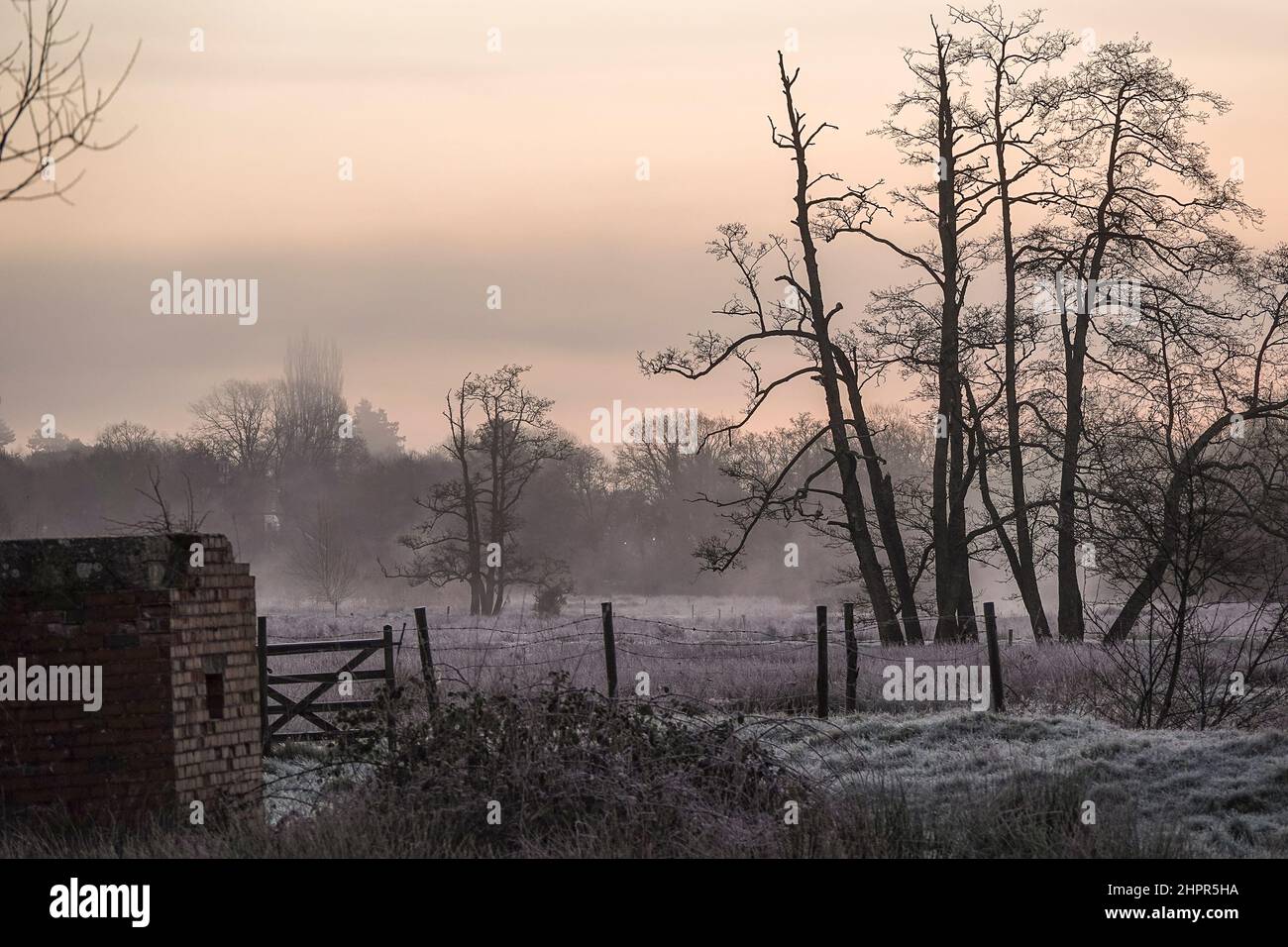 Waverley Lane, Elstead. 23rd. Februar 2022. Ein kalter und frostiger Start in den Tag für die Heimatkreise. Frostige Bedingungen entlang des River Wey bei Thundry Meadows in Elstead, in der Nähe von Godalming, in Surrey. Kredit: james jagger/Alamy Live Nachrichten Stockfoto