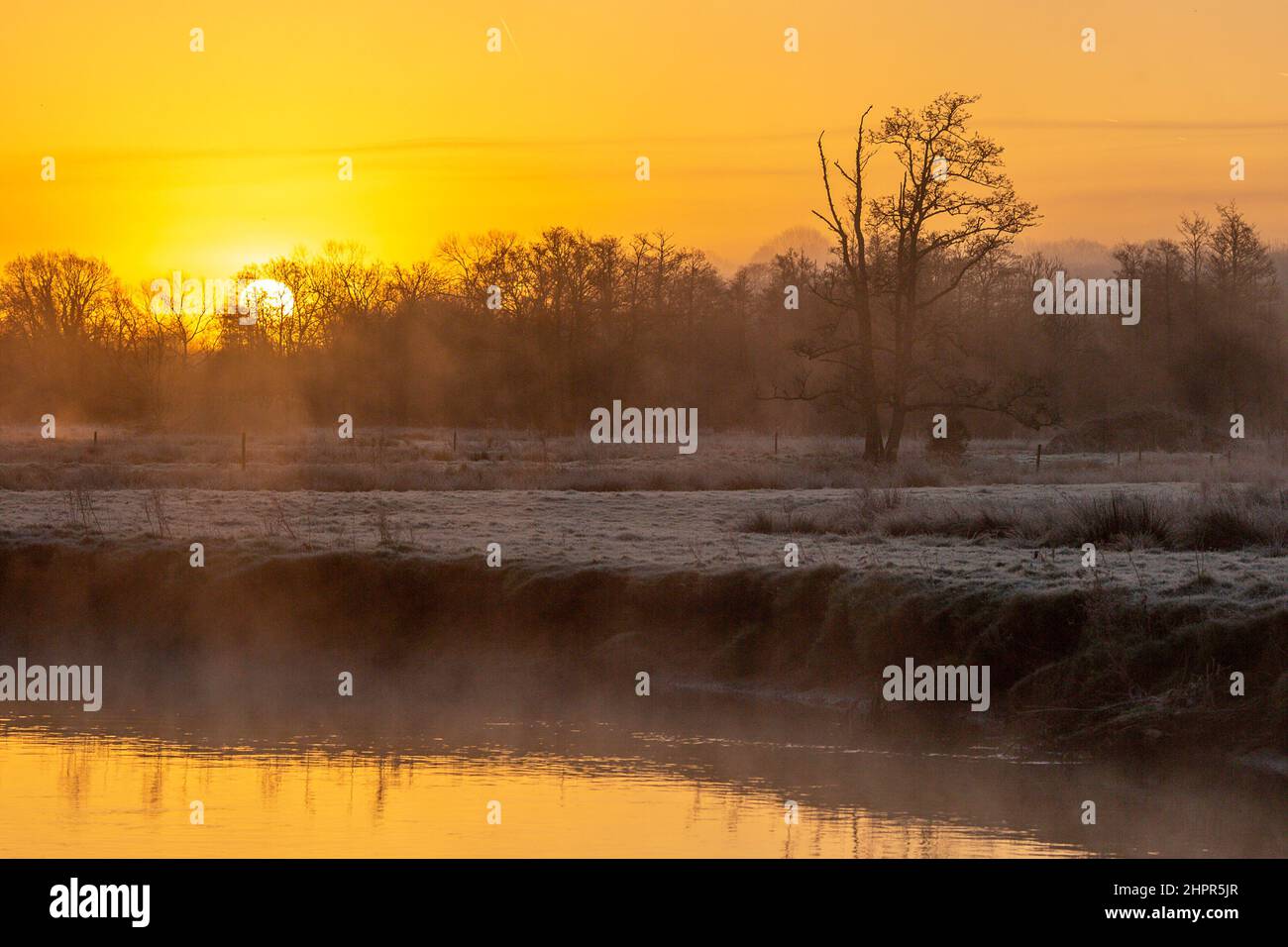 Waverley Lane, Elstead. 23rd. Februar 2022. Ein kalter und frostiger Start in den Tag für die Heimatkreise. Frostige Bedingungen entlang des River Wey bei Thundry Meadows in Elstead, in der Nähe von Godalming, in Surrey. Kredit: james jagger/Alamy Live Nachrichten Stockfoto