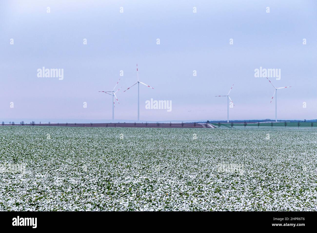 Windgeneratoren im Winter Landschaft an einem nebligen Tag Stockfoto