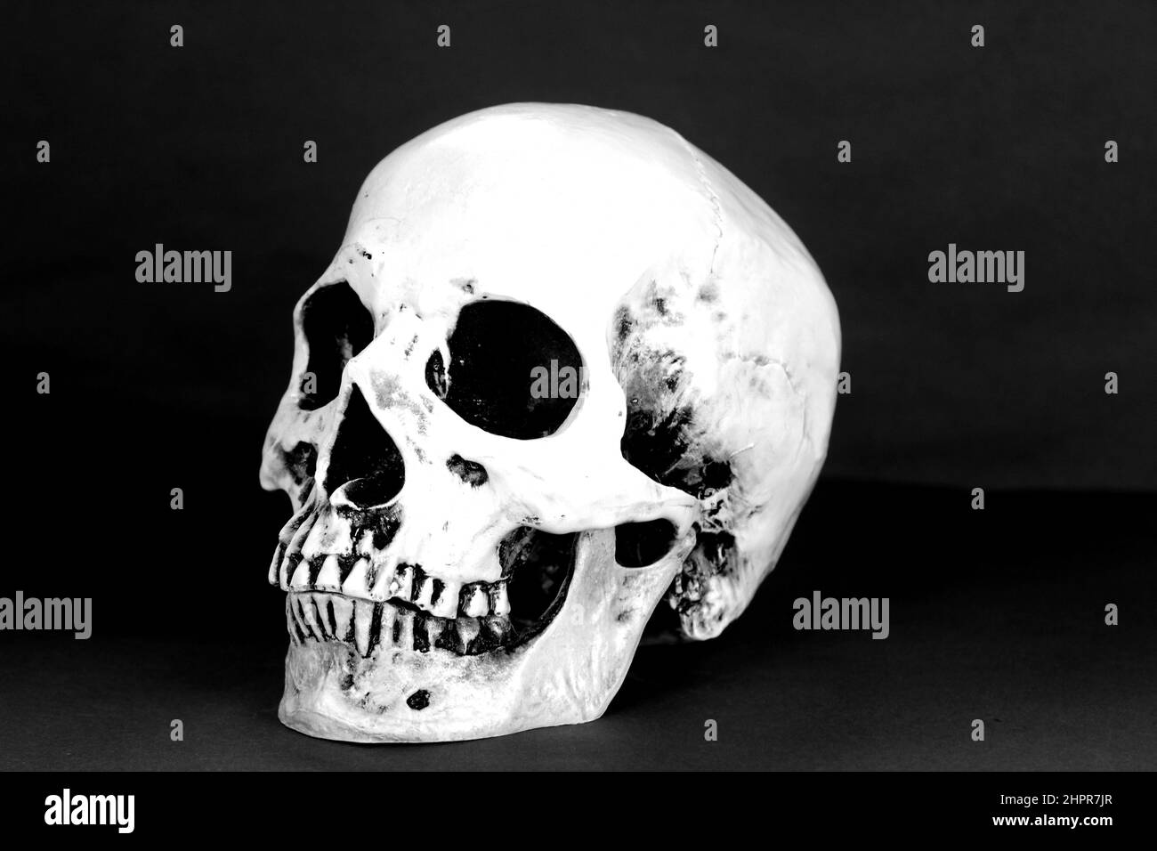 Menschlicher Plastikschädel auf schwarzem Hintergrund Stockfoto