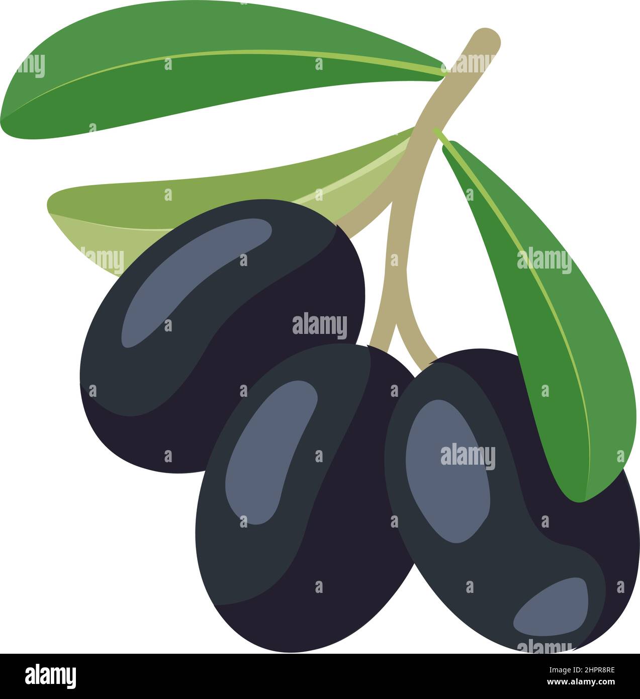 Zweig der schwarzen Oliven mit Früchten und Blättern. Traditionelle griechische Küche. Vektorgrafik flach Stock Vektor
