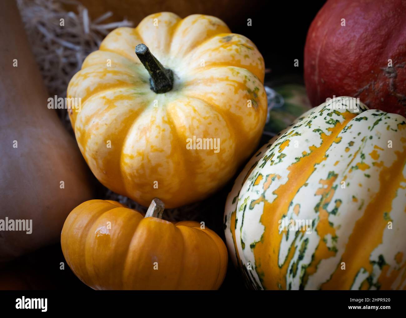 Bunte Kürbisse zum Verkauf an Borough Market in London. Stockfoto