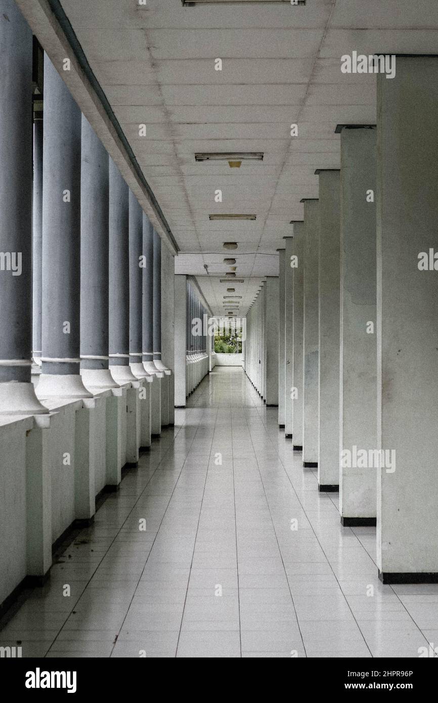 Leerer Korridor in der Hochschule oder Universität in einem modernen Gebäude. Stockfoto