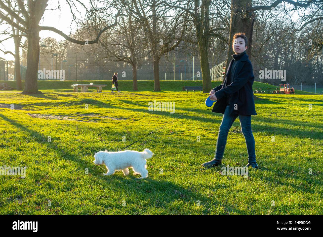 Ein Junge aus der Vorstufe geht mit einem kleinen, weißen Hund im Park spazieren. Stockfoto