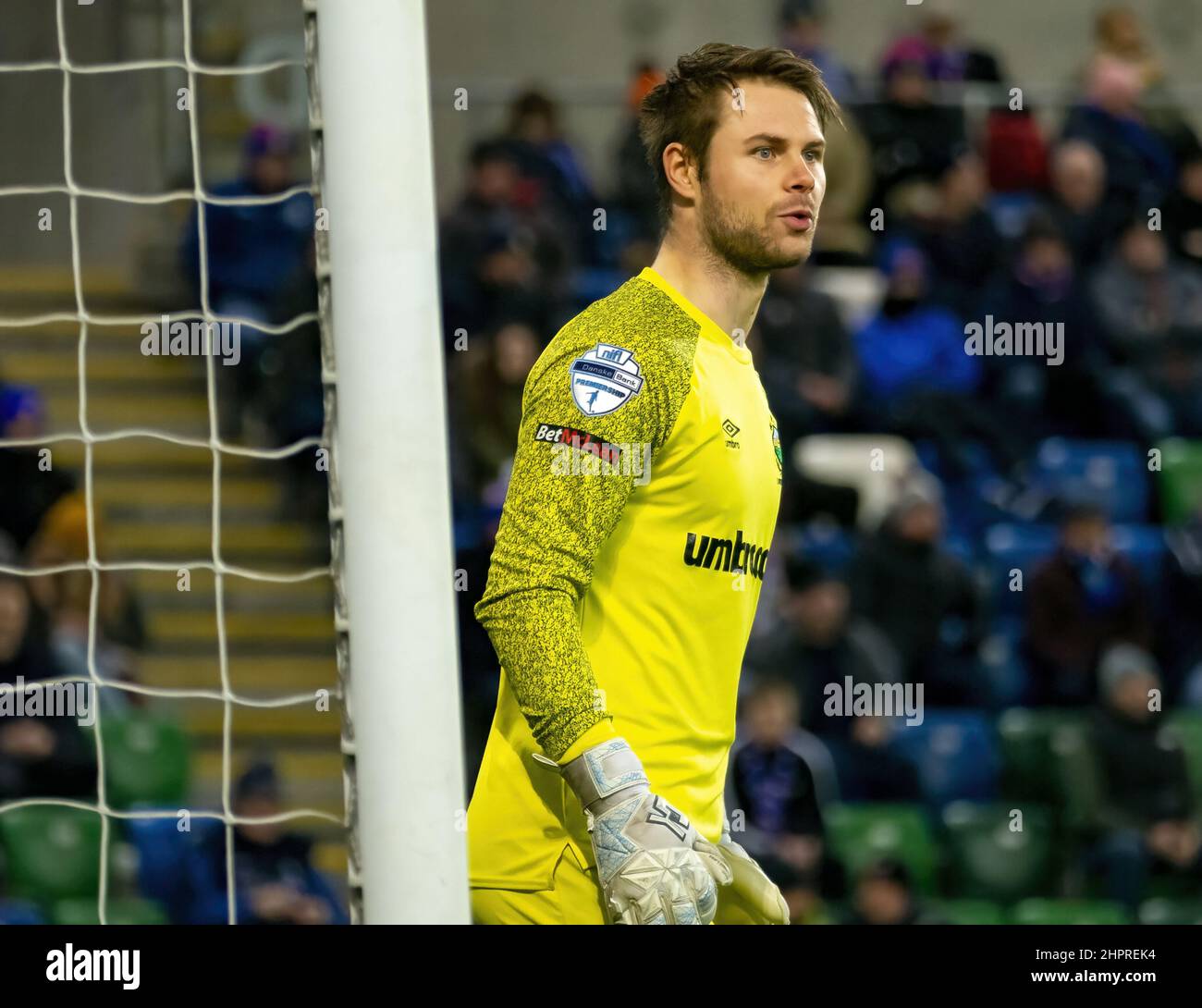 Chris Johns - Linfield vs Larne in der Premiership der Danske Bank, Dienstag, 8.. Februar 2022 im Windsor Park, Belfast. Stockfoto