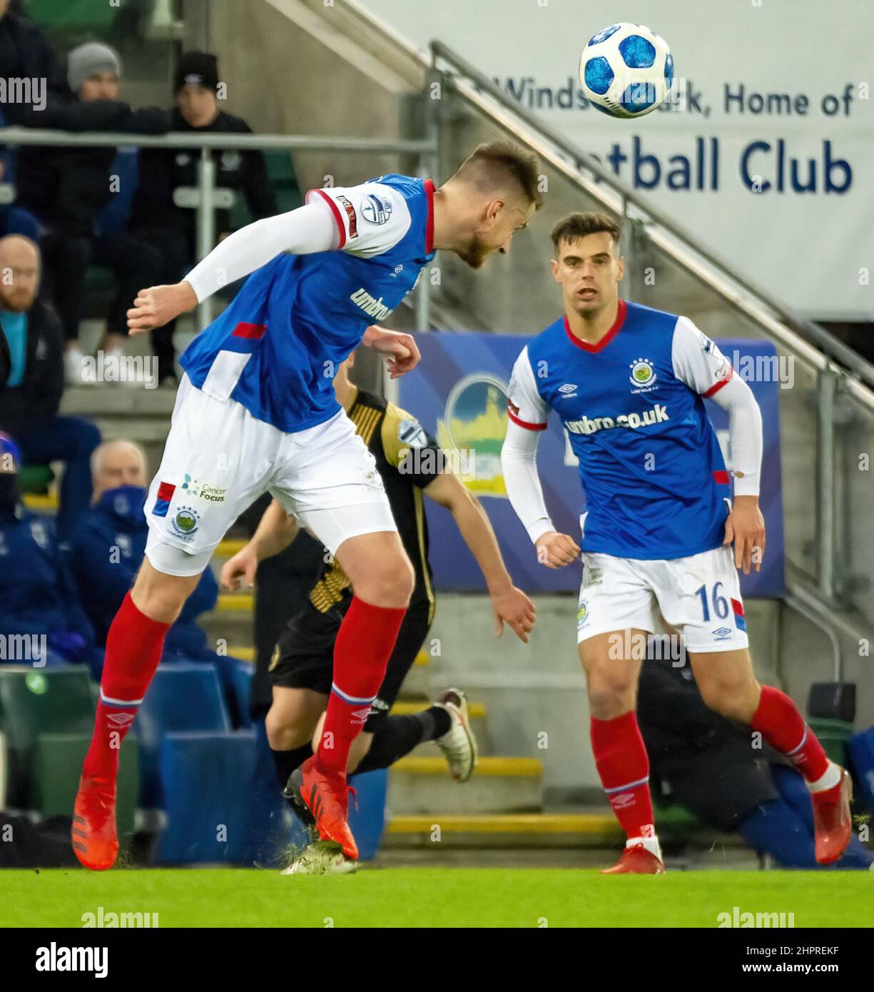 Sam Roscoe - Linfield vs Larne in der Premiership der Danske Bank, Dienstag, 8.. Februar 2022 im Windsor Park, Belfast. Stockfoto