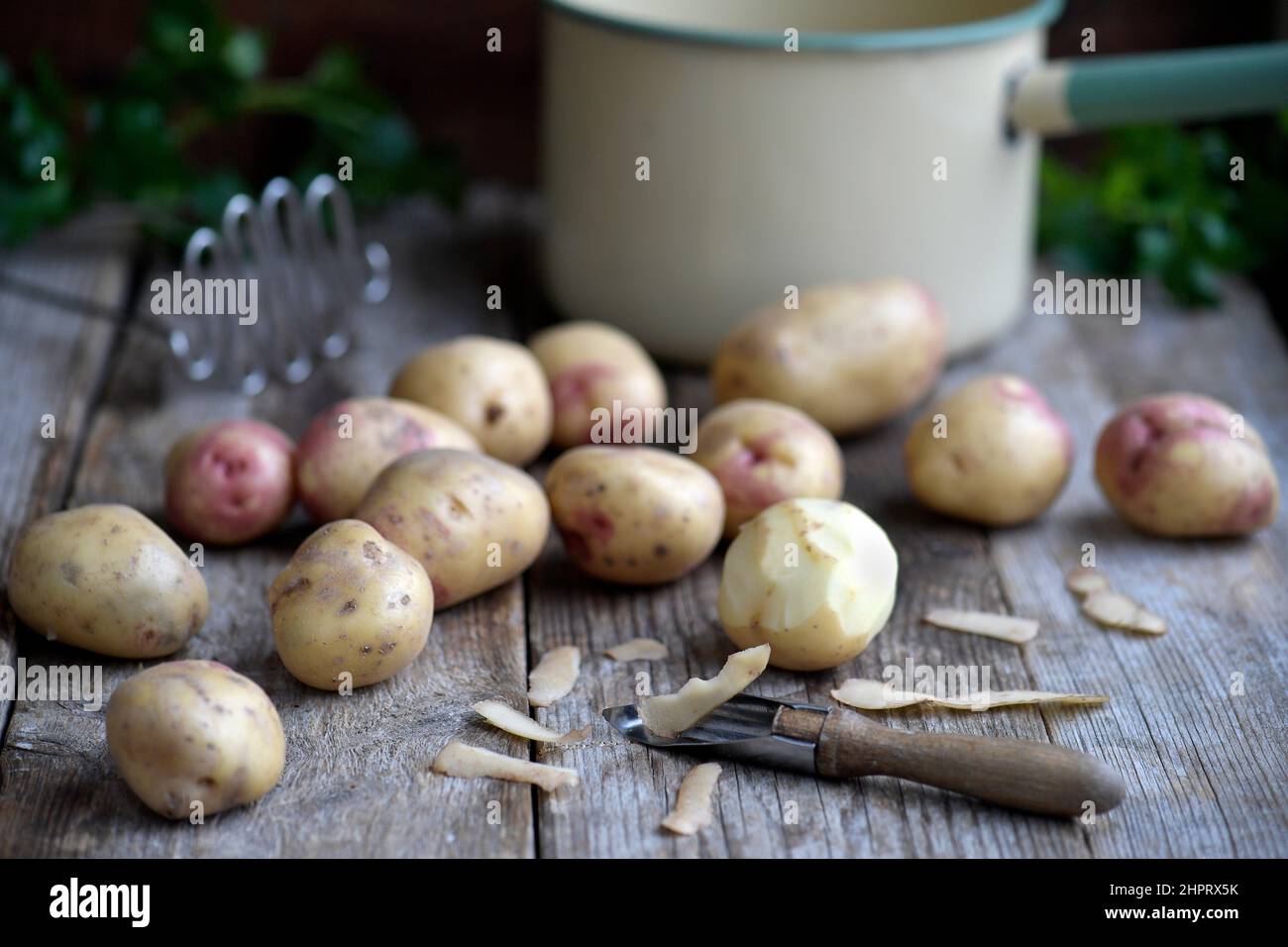 Kartoffeln Foto Janerik Henriksson / TT-Code 10010 Stockfoto