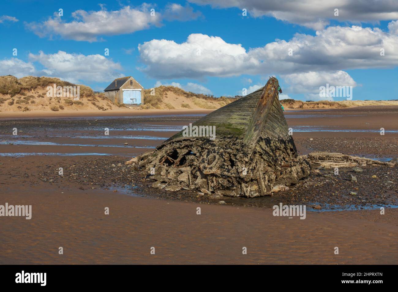 Ein altes Schiffswrack am Strand im Küstendorf Newburgh, Aberdeenshire, Schottland, bei Ebbe gesehen Stockfoto