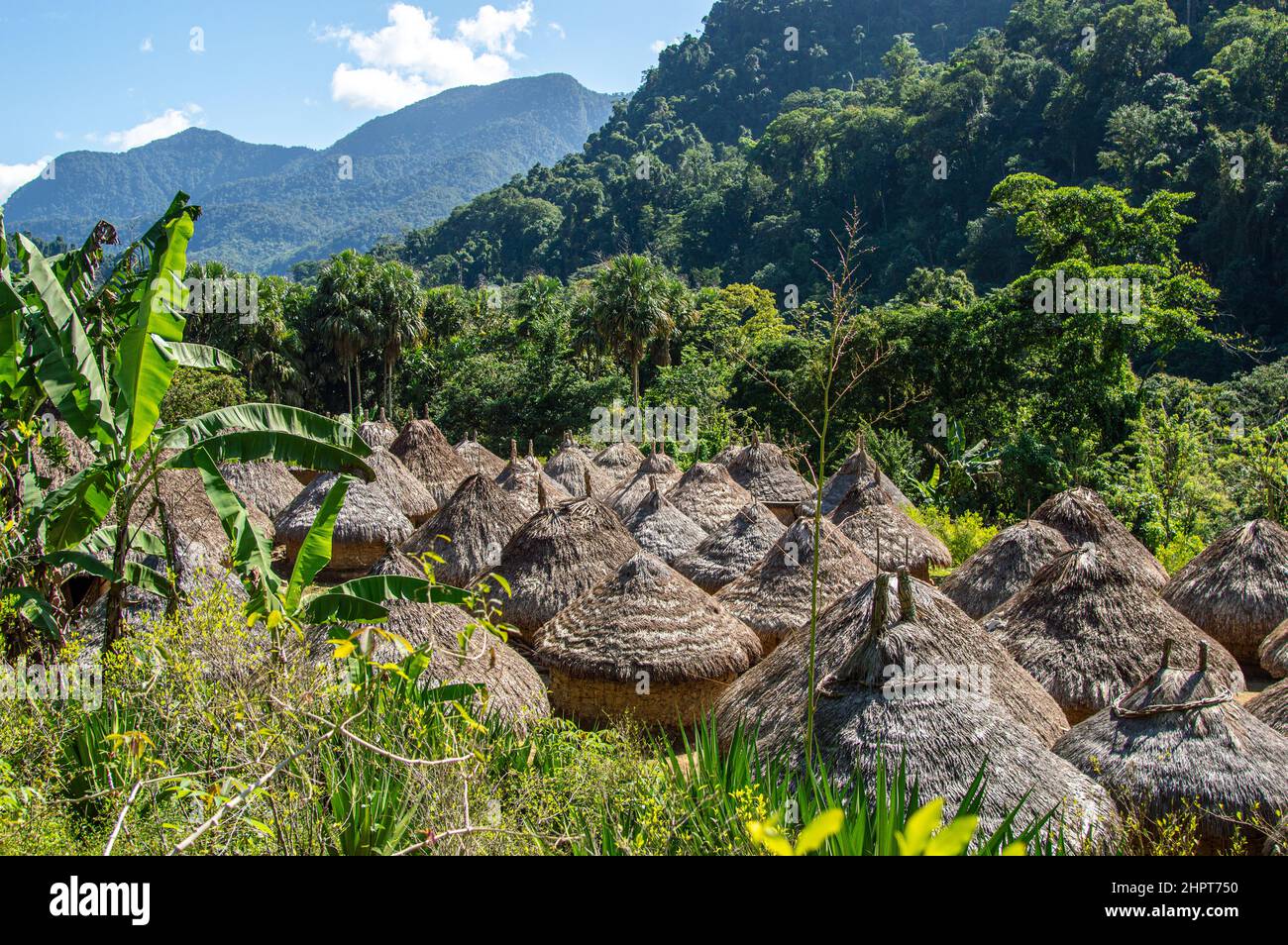 Indigene Kogi-Stammeshütten in der Nähe der Lost City/Ciudad Perdida in Kolumbien Stockfoto