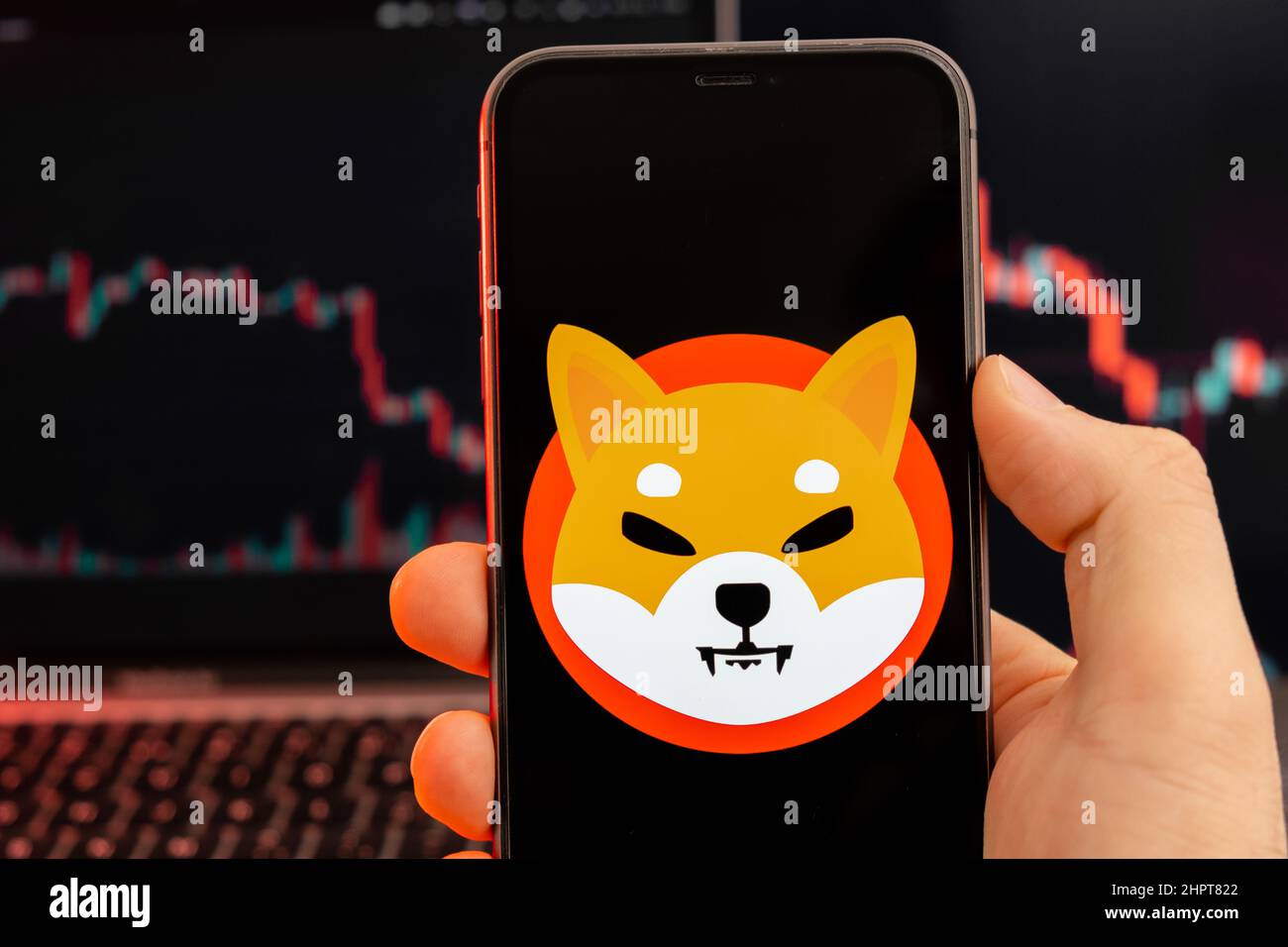 Shiba Inu SHIB Kryptowährung-Logo auf dem Bildschirm des Smartphones in mans Hand mit Abwärtstrend auf dem Chart auf rotem Hintergrund, Februar 2022, San Francisco, USA. Stockfoto