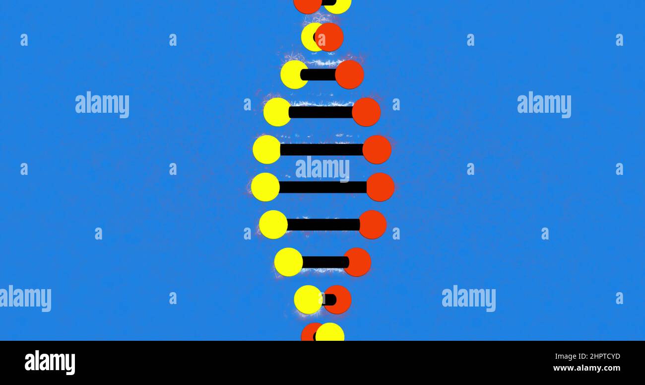 Bild von dna-Strängen, die sich auf blauem Hintergrund drehen Stockfoto