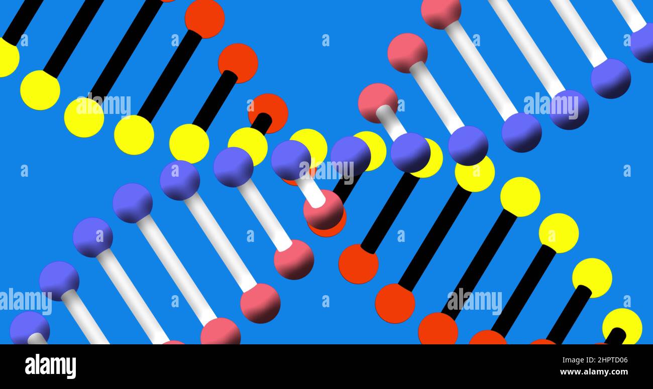 Bild von dna-Strängen, die sich auf blauem Hintergrund drehen Stockfoto