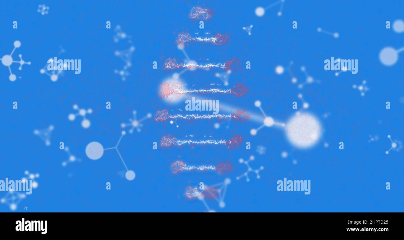 Bild von dna-Strangspinnung und Molekülen auf blauem Hintergrund Stockfoto