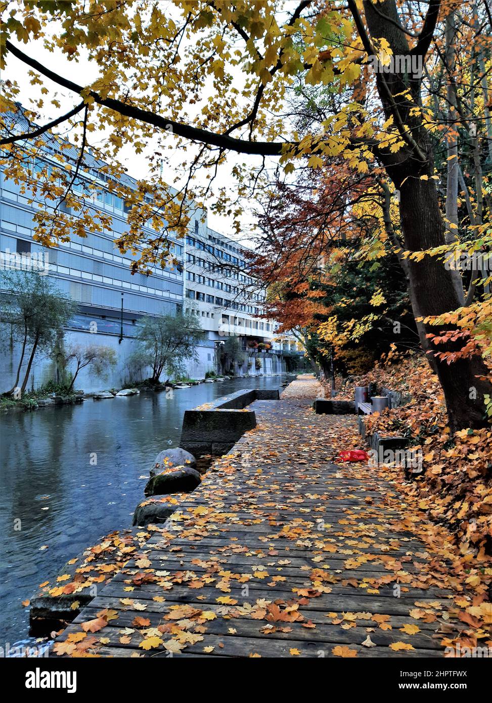 Schanzengraben an einem regnerischen Herbsttag (Zürich, Schweiz). Herbstliche Blätter auf einer Promenade am Fluss. Urbane Herbstszene Stockfoto