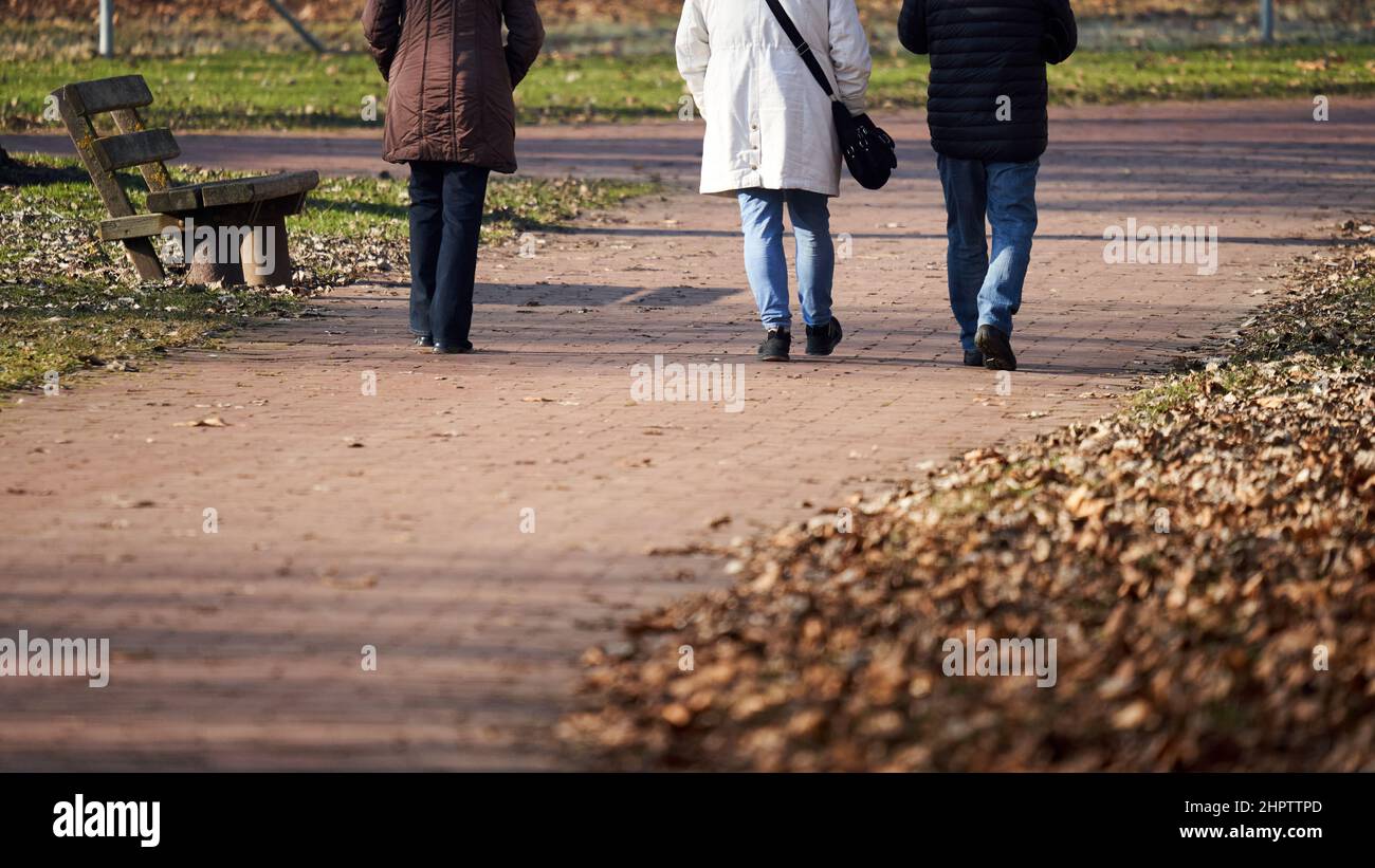 3 Erwachsene Personen, die durch den Park spazieren. Warm gekleidete Körperteile im Winter. Rückansicht. Stockfoto