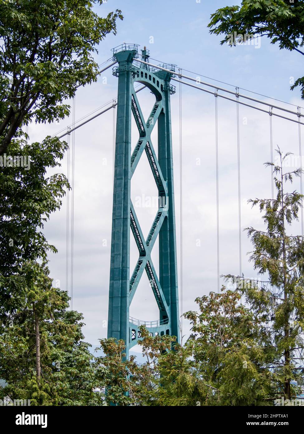 Südlicher Stützturm für die Lion's Gate Bridge in Vancouver: Wie man durch die üppigen Waldbäume des Stanley Parks sieht, ragt der Stahlturm, der die Hängebrücke unterstützt, mit seiner blau-grünen Farbe hoch in den Himmel. Stockfoto