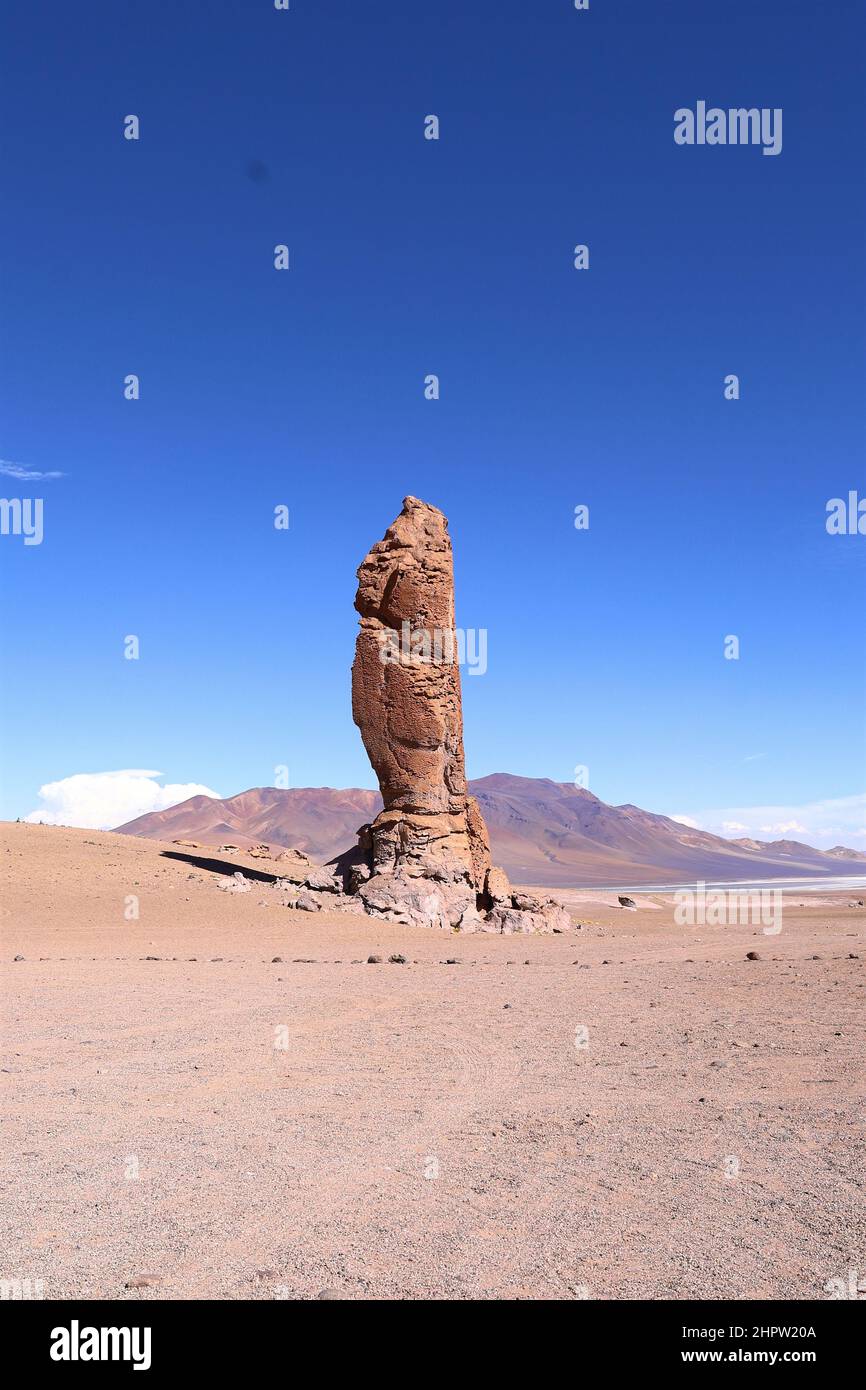 Großer Pacana Mönch in der Atacama Wüste Chile Stockfoto