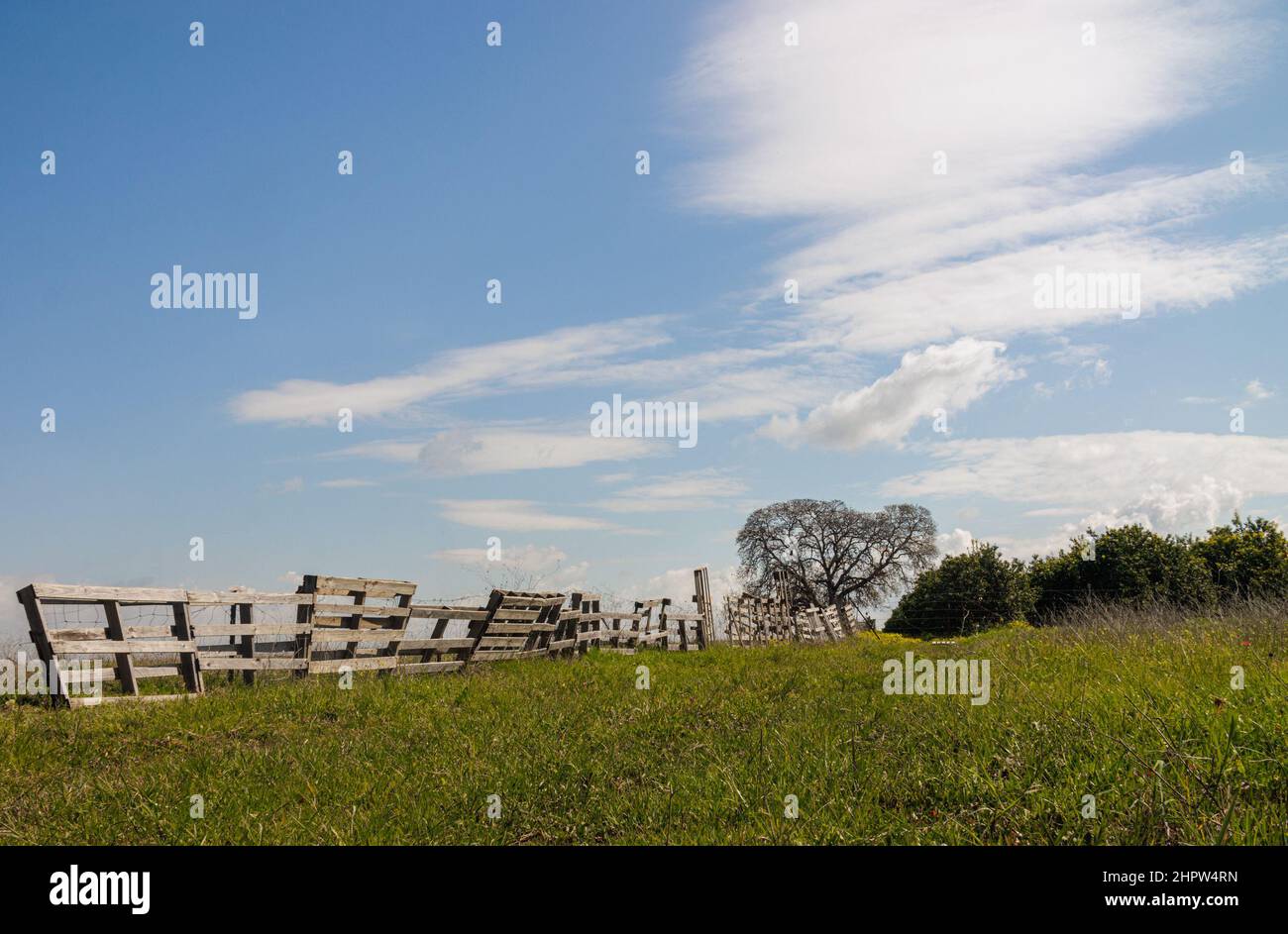 Ländliche Landschaft mit einem wackeligen Zaun, einem Feldweg von Feld zu Dorf und einem blauen Himmel mit whimsical weißen Wolken. Sommer sonnigen Tag, grün Gra Stockfoto