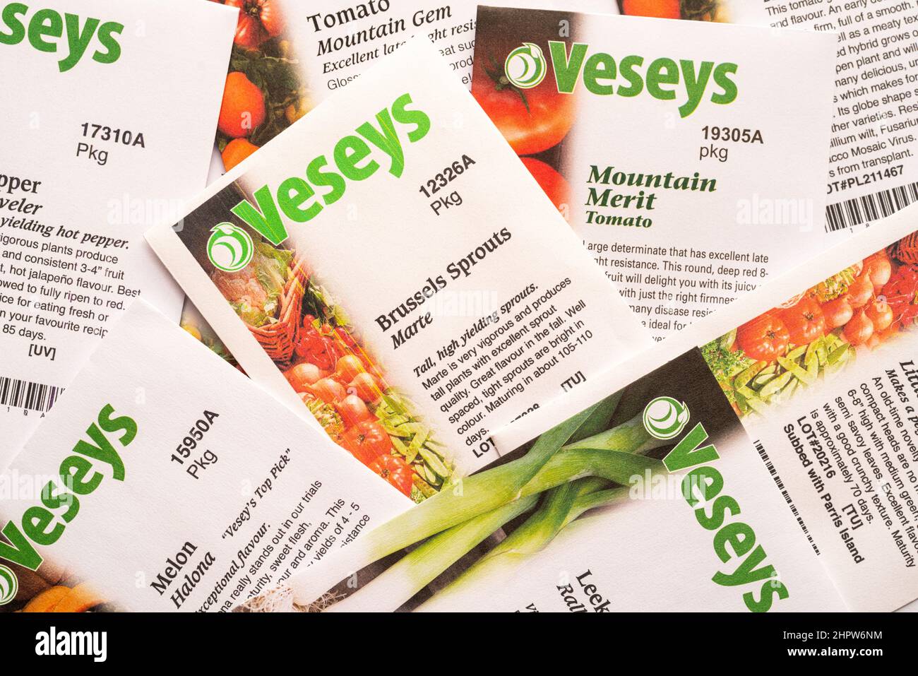 Neu gekaufte Pakete von Gemüsegarten Samen. Stockfoto