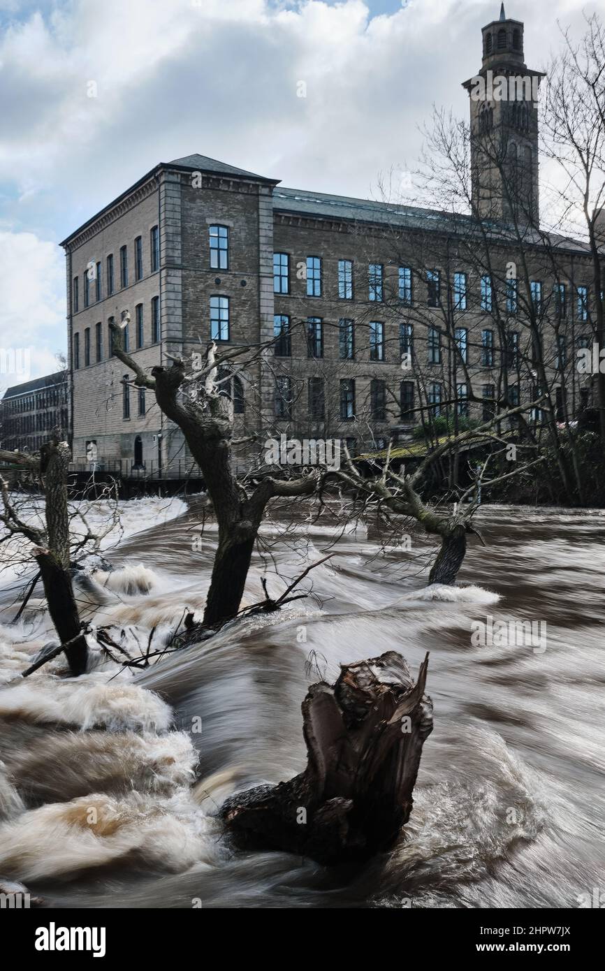 Das Regenwasser von Storm Franklin fließt über Saltaire in West Yorkshire, Großbritannien, den Fluss Aire entlang und trägt von Salts Mills Bäume zum Wehr. Stockfoto