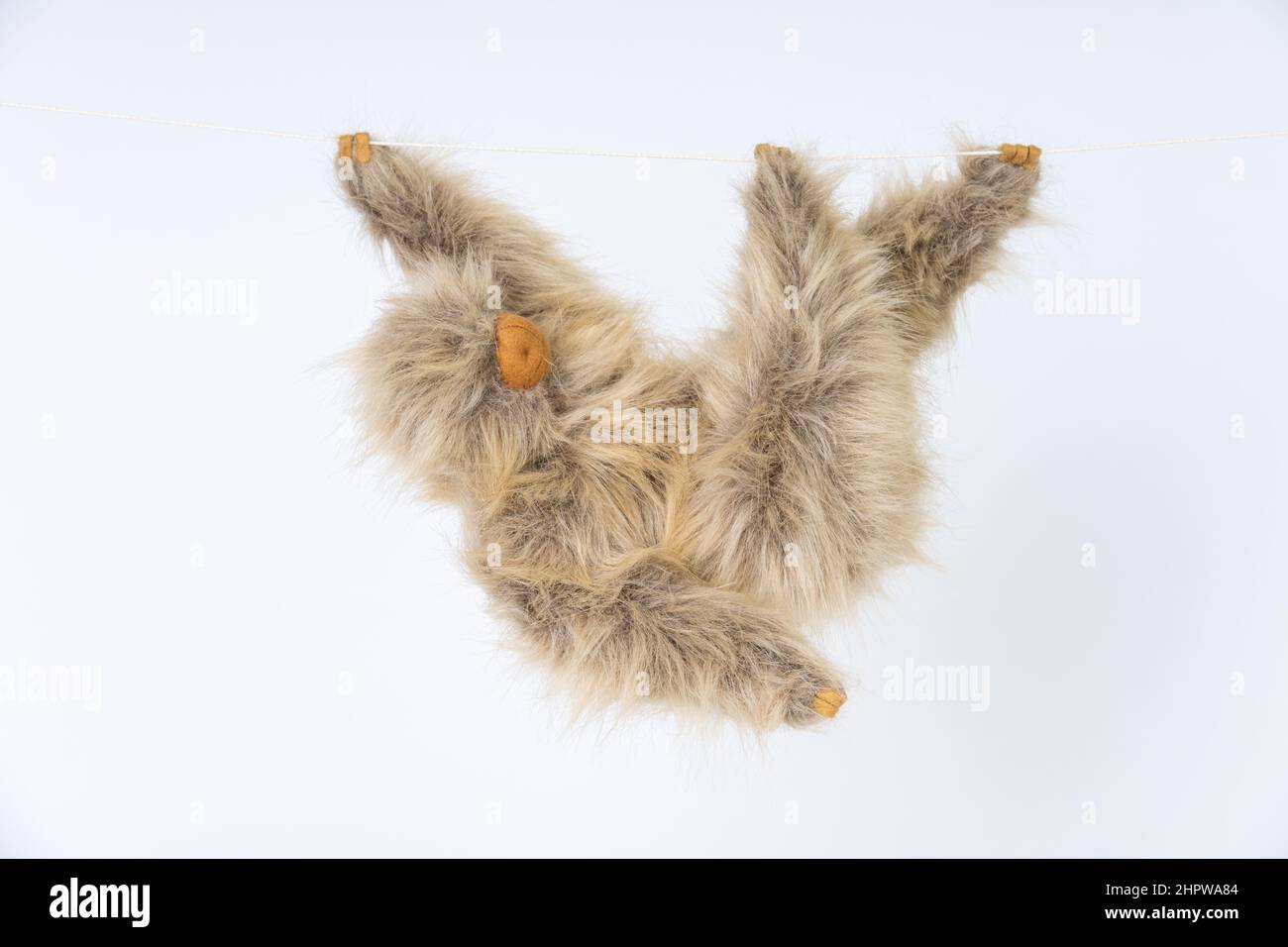 Das Stofftier Linnäus's Two-Toed Sloth hängt an einer Schnur Stockfoto