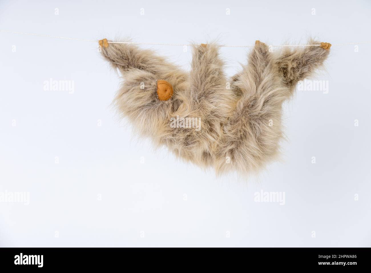 Das Stofftier Linnäus's Two-Toed Sloth hängt an einer Schnur Stockfoto