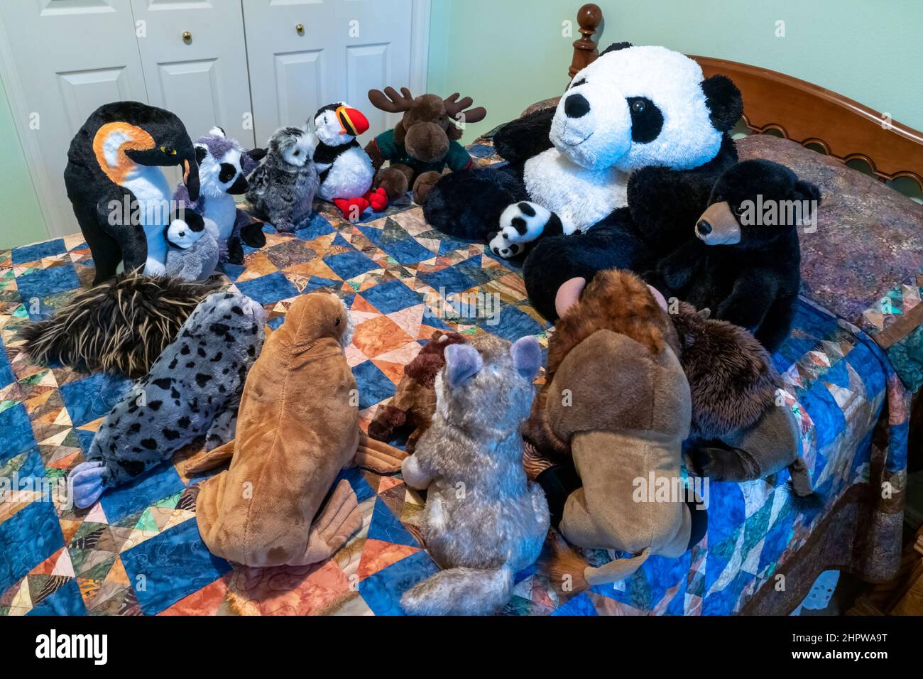 Ausgestopfte Tiere versammelten sich auf einem Bett, um Geschichten zu erzählen. Stockfoto