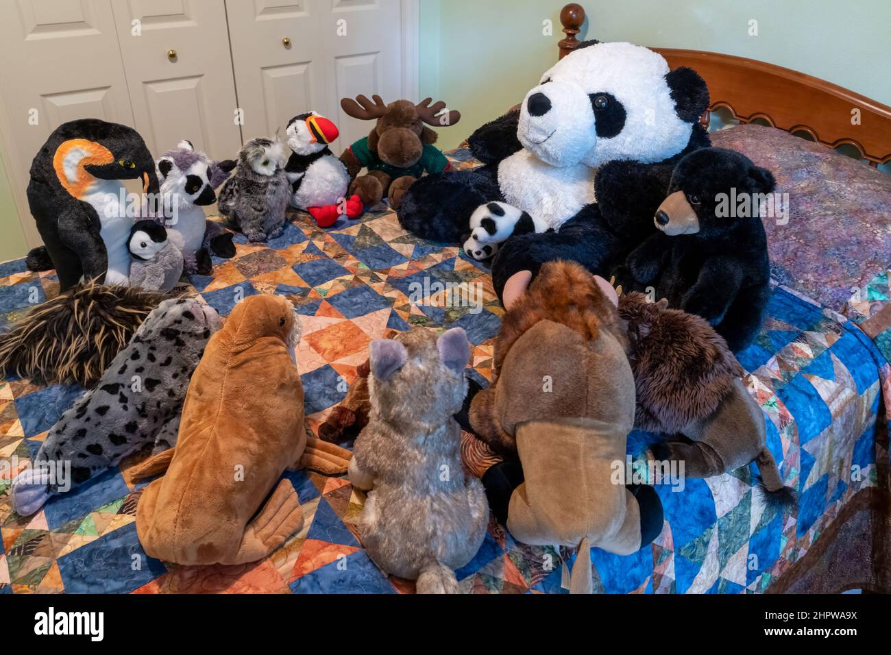Ausgestopfte Tiere versammelten sich auf einem Bett, um Geschichten zu erzählen. Stockfoto