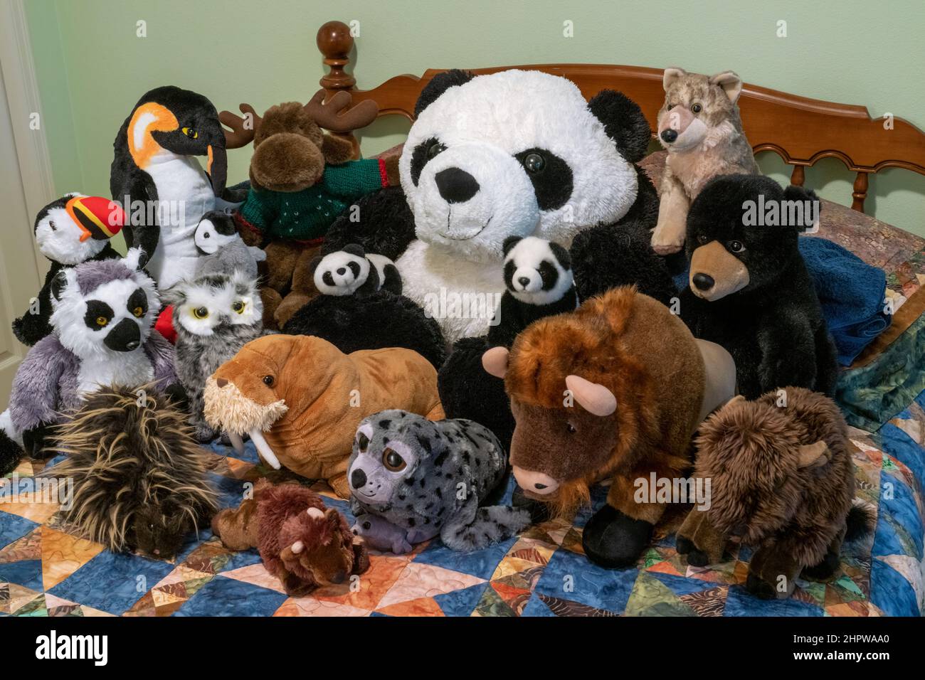Porträt einer Gruppe ausgestopfter Tiere auf einem Bett. Stockfoto
