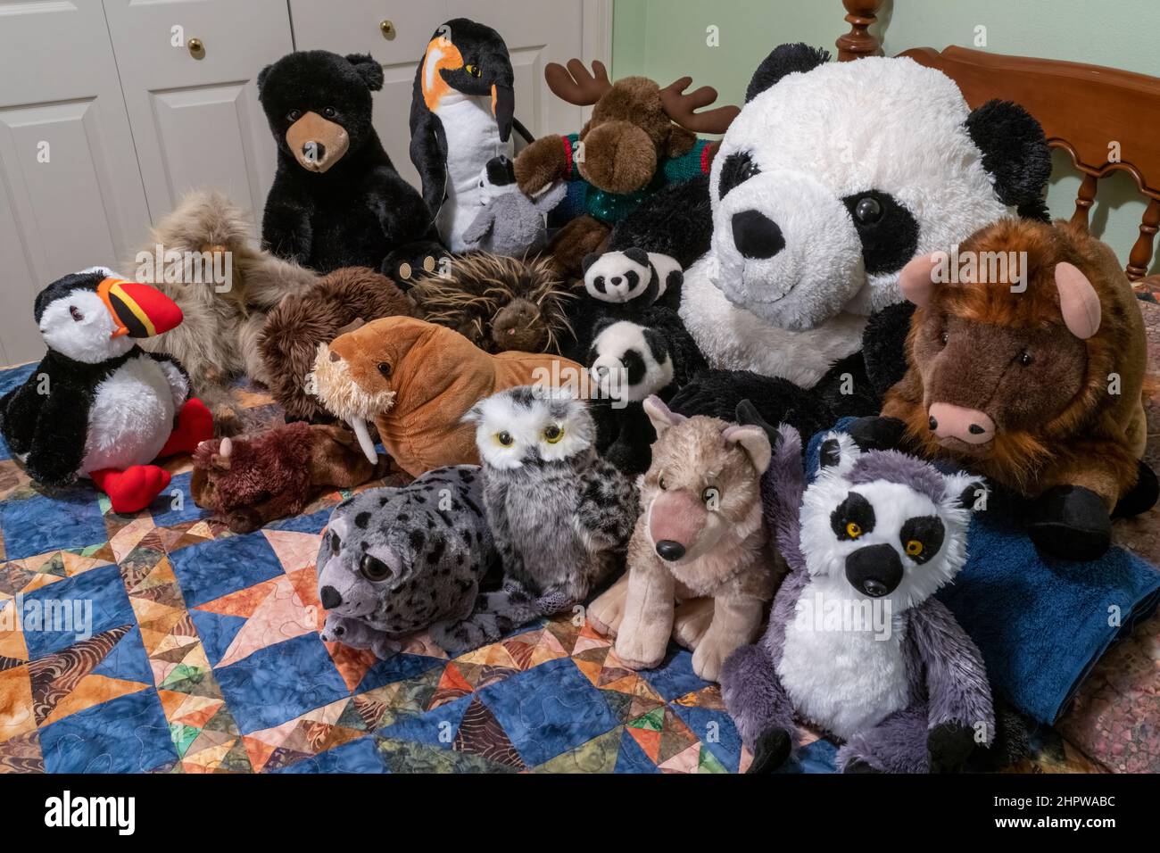Porträt einer Gruppe ausgestopfter Tiere auf einem Bett. Stockfoto