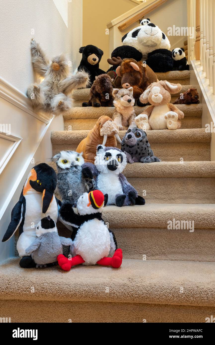 Ausgestopfte Tiere, die mit ihrem Freund eine Treppe hinunterlaufen Stockfoto