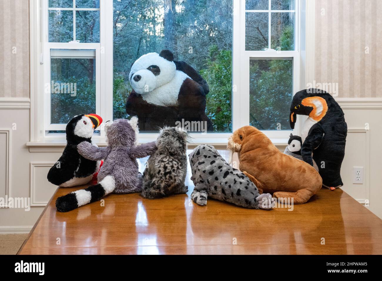 Ausgestopfte Tiere starren aus einem Fenster auf einen riesigen Pandabären, der sie ansieht! Stockfoto