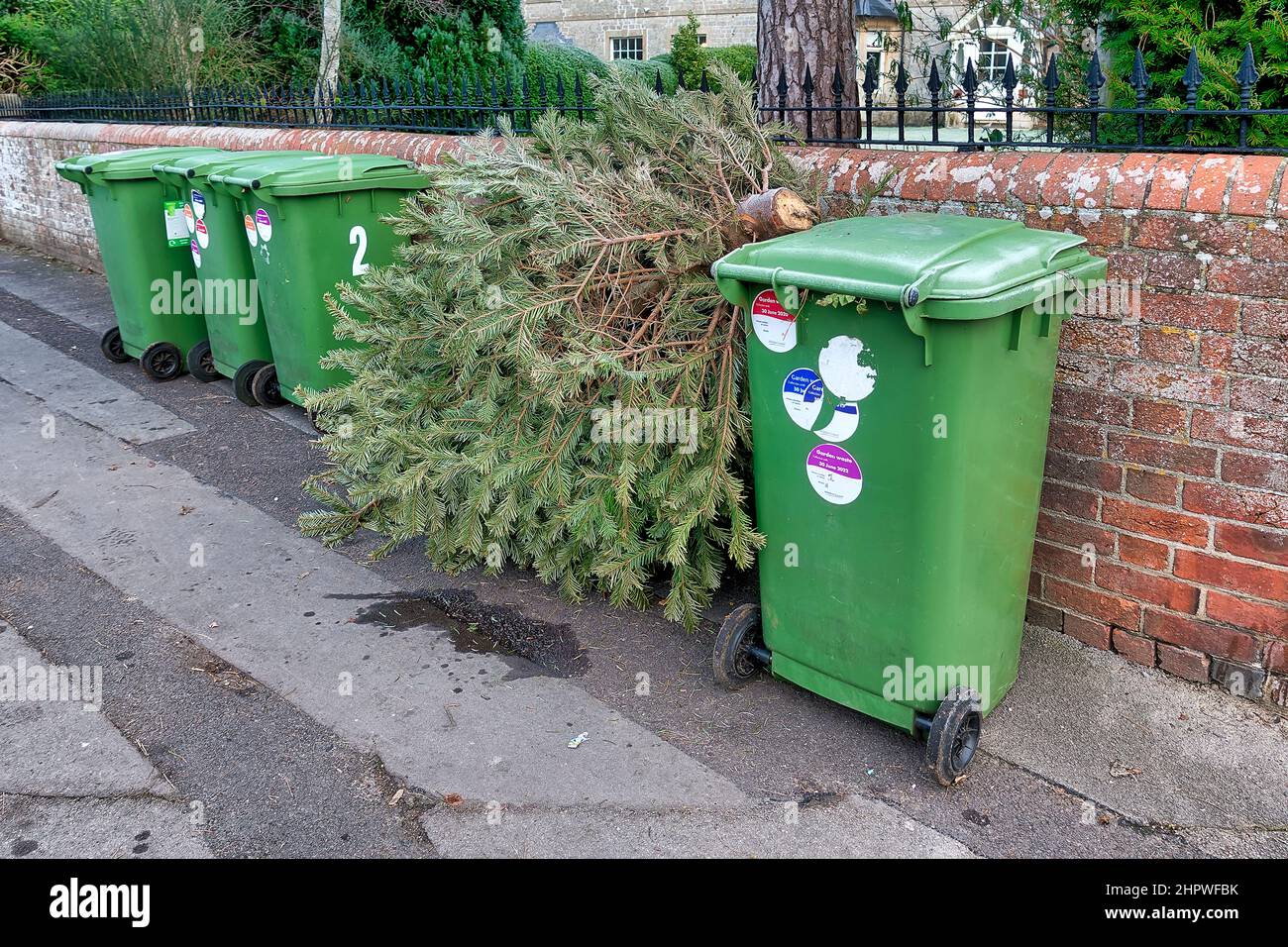 Warminster, Wiltshire, Großbritannien - 18 2022. Januar: Eine Reihe von Abfalleimer im Grünen Garten und ein Weihnachtsbaum, der zum Recycling herausgebracht wurde Stockfoto