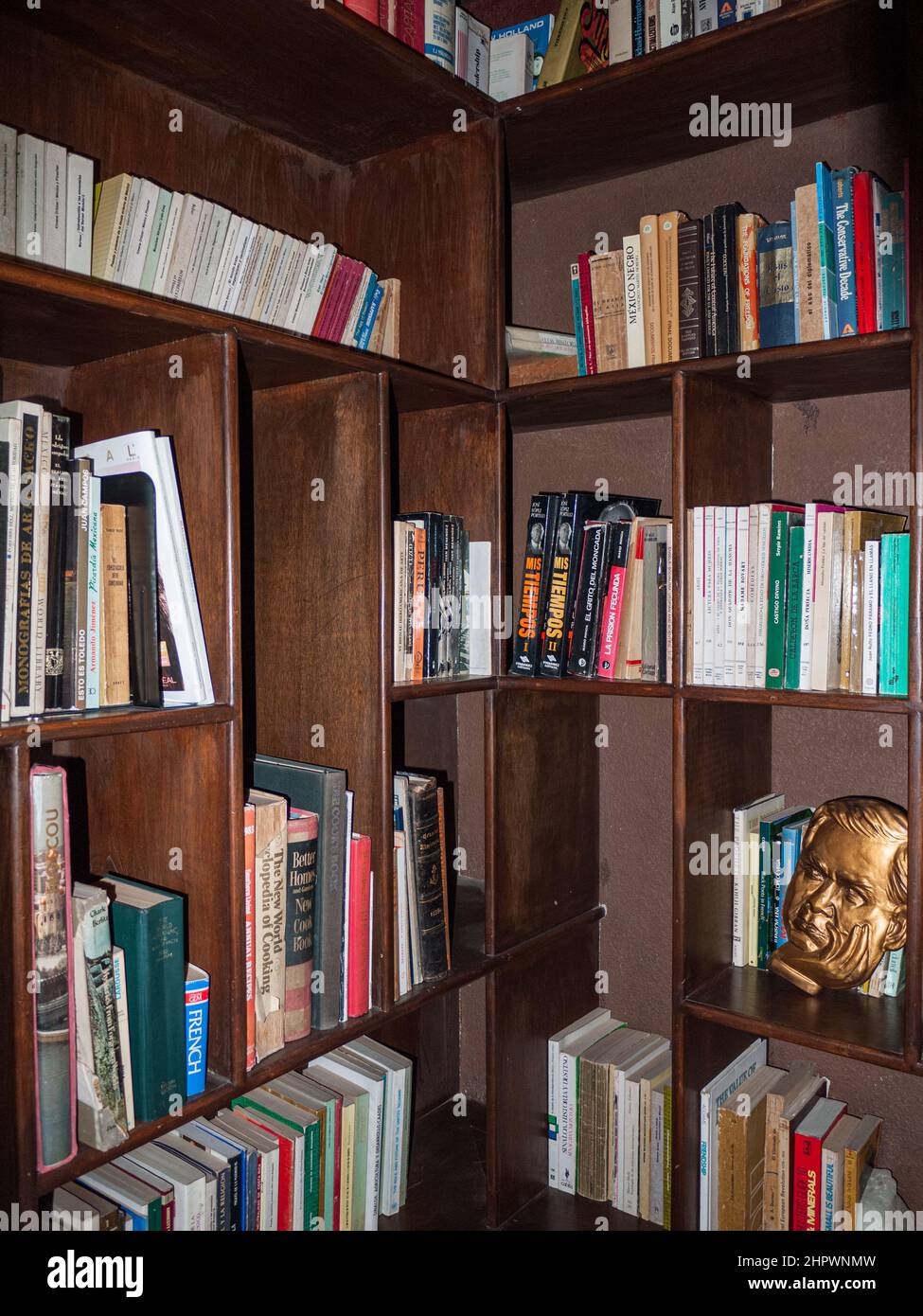 Bücher auf Englisch und Spanisch mit einem Skulpturenkopf von Rubin Dario in einem maßgefertigten Bücherregal in einem Haus in Jinotega, Nicaragua. Stockfoto