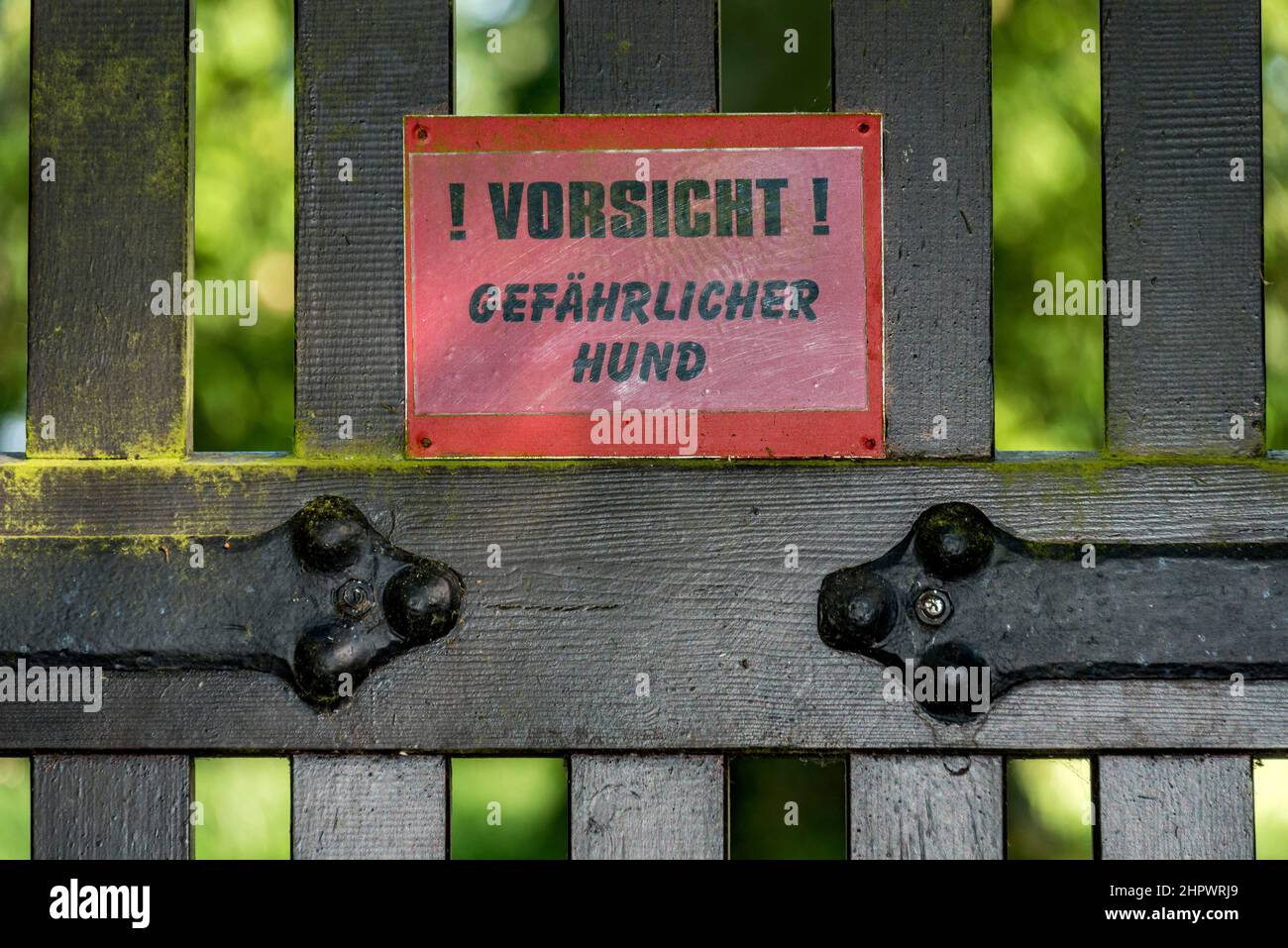 Warnschild, Vorsicht gefährlicher Hund, Tor zum historischen Anwesen Haus Christiansruh, Bad Salzhausen, Nidda, Wetteraukreis, Hessen, Deutschland Stockfoto