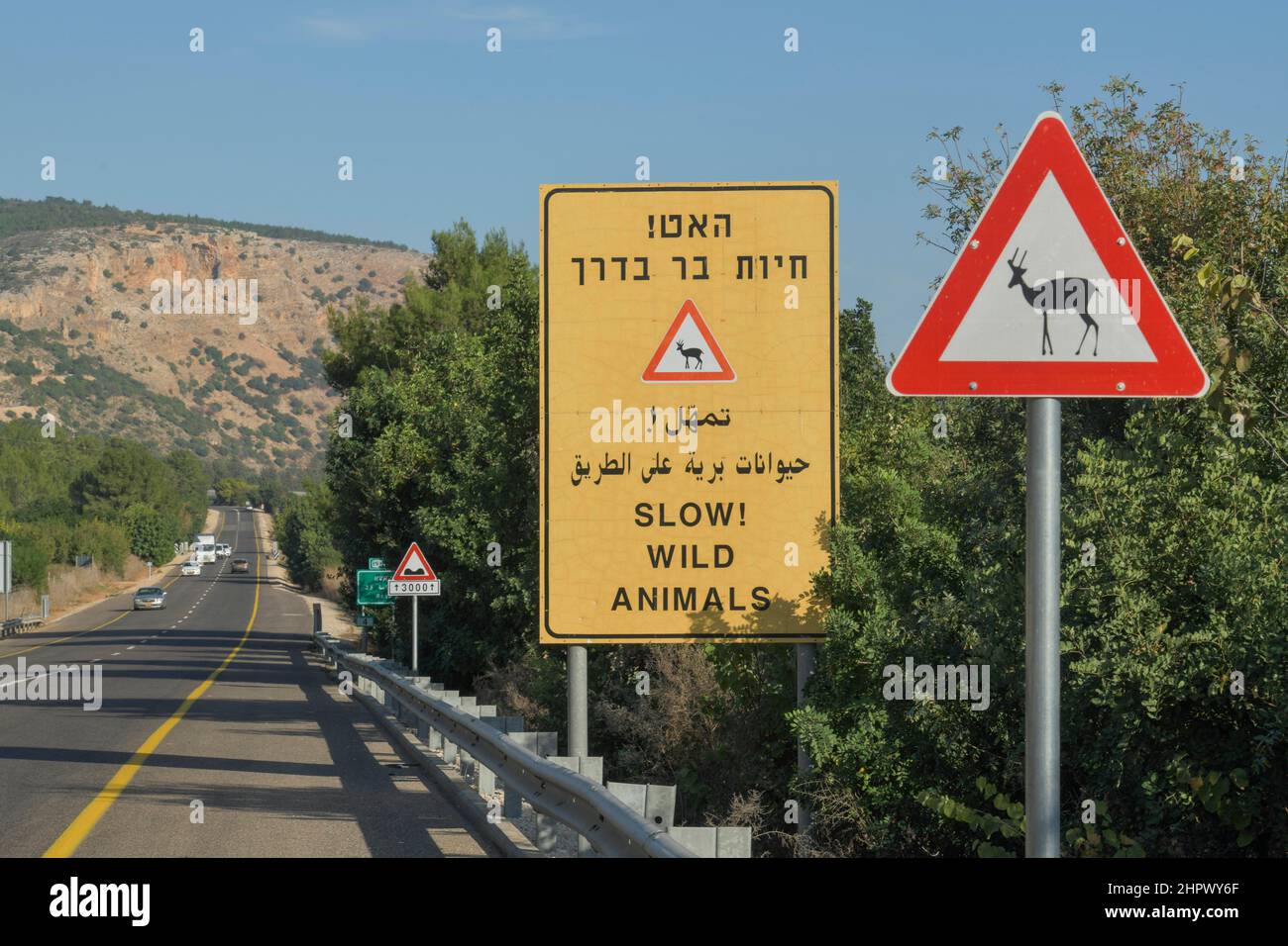 Warnschild, wilde Tiere, Israel Stockfoto
