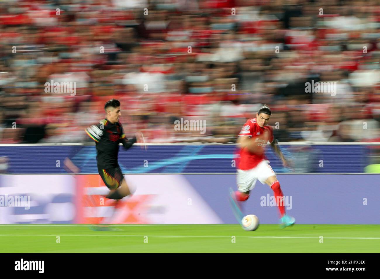 Lissabon, Portugal. 23rd. Februar 2022. Darwin Nunez von Benfica (R) steht mit Edson Alvarez von Ajax während des UEFA Champions League-Spiels mit 16 1st Beinabenden zwischen SL Benfica und AFC Ajax in Lissabon, Portugal, am 23. Februar 2022, im Spiel. Quelle: Petro Fiuza/Xinhua/Alamy Live News Stockfoto