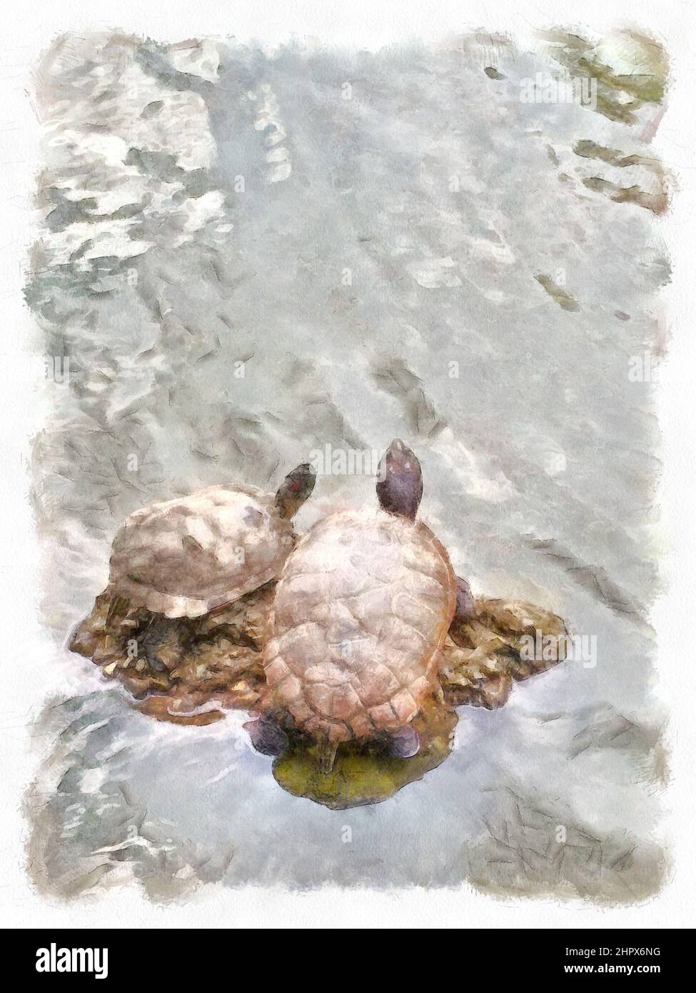 Digitale Pinselführung zweier Schildkröten Entspannen Sie auf einem Felsen, der von Wellenwasser in einem Teich umgeben ist. Stockfoto