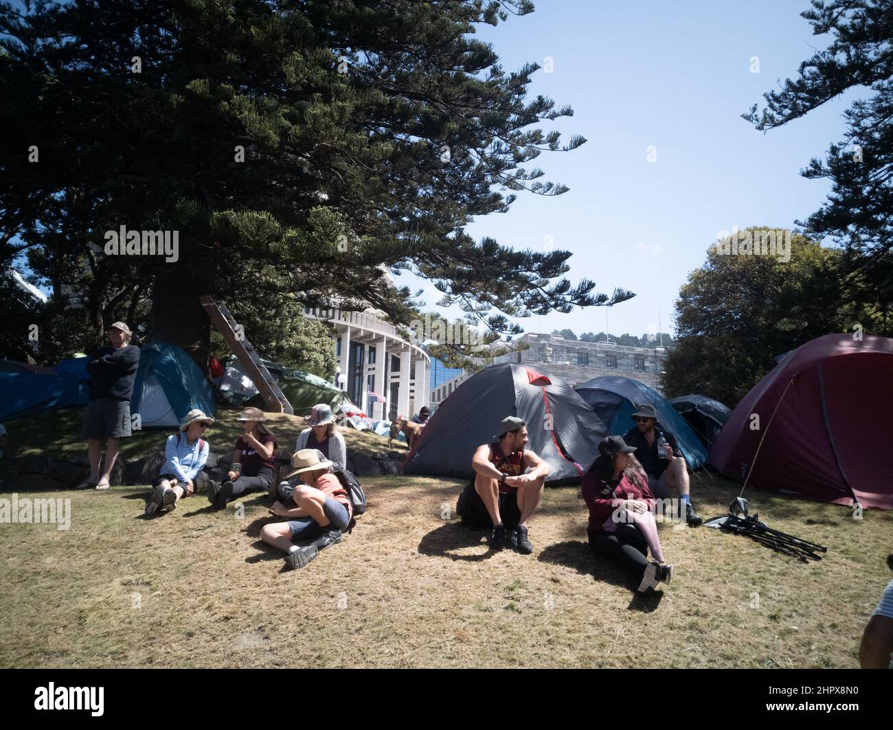 24. Februar 2022 - 17. Tag des Impf-Mandats in Wellington, Neuseeland, aus Parlamentsgründen. Stockfoto