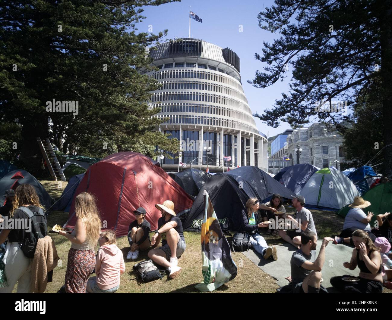 24. Februar 2022 - 17. Tag des Impf-Mandats in Wellington, Neuseeland, aus Parlamentsgründen. Stockfoto