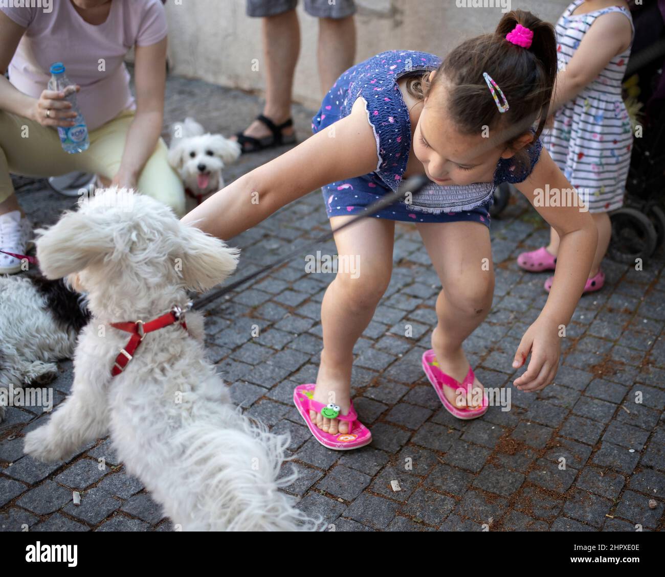 Belgrad, Serbien, 22. Jun 2019: Mädchen spielt mit einem Hund Stockfoto